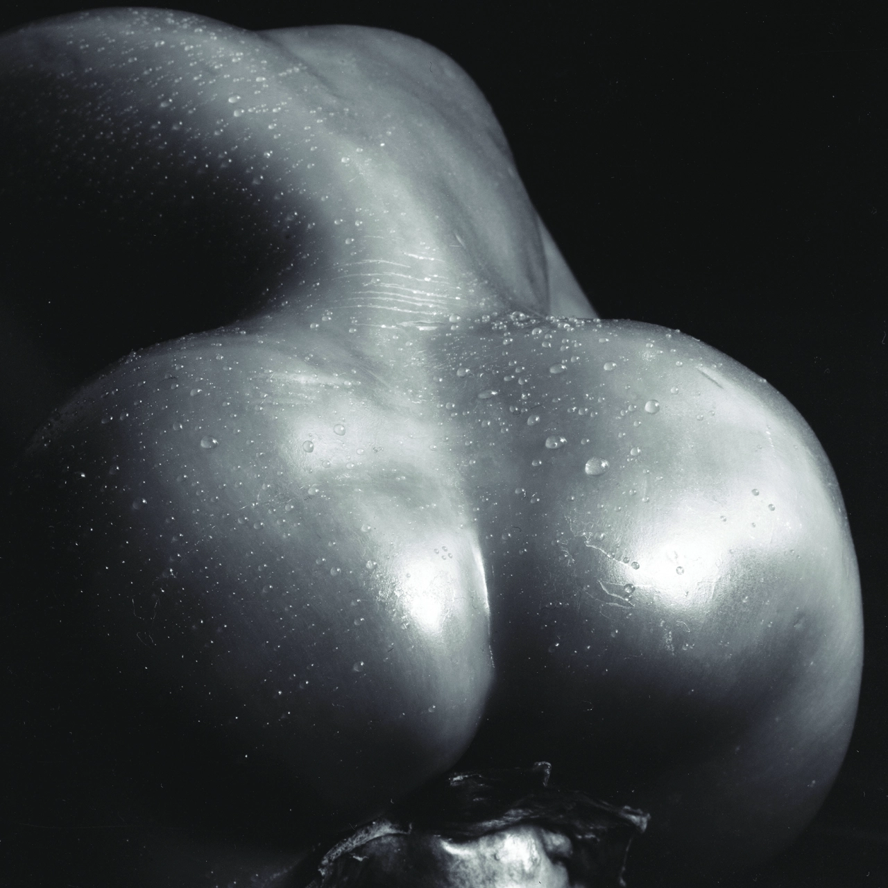 Talking Peppers Art Photography by Giuseppe Persia, winner in the Photography and Photo Manipulation Design Category, 2020-2021.
