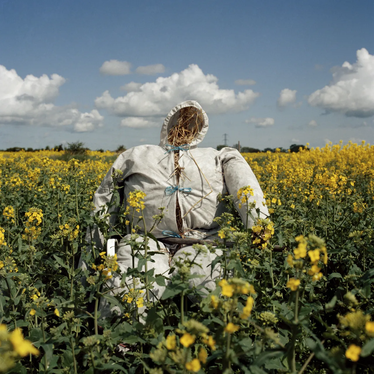 Peter Mitchell Scarecrow 2016. Courtesy the artist