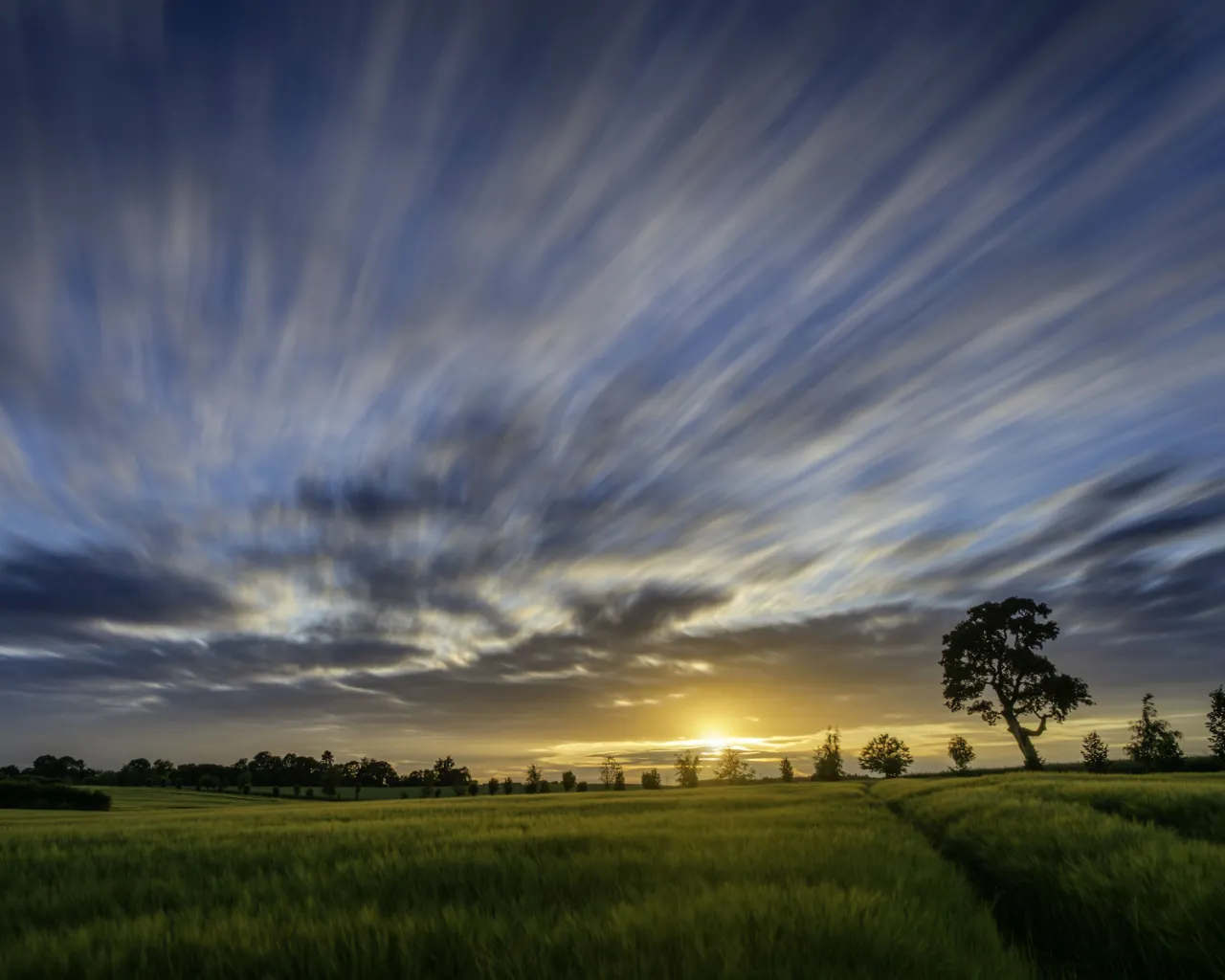 Image credit: Xinliang Wei