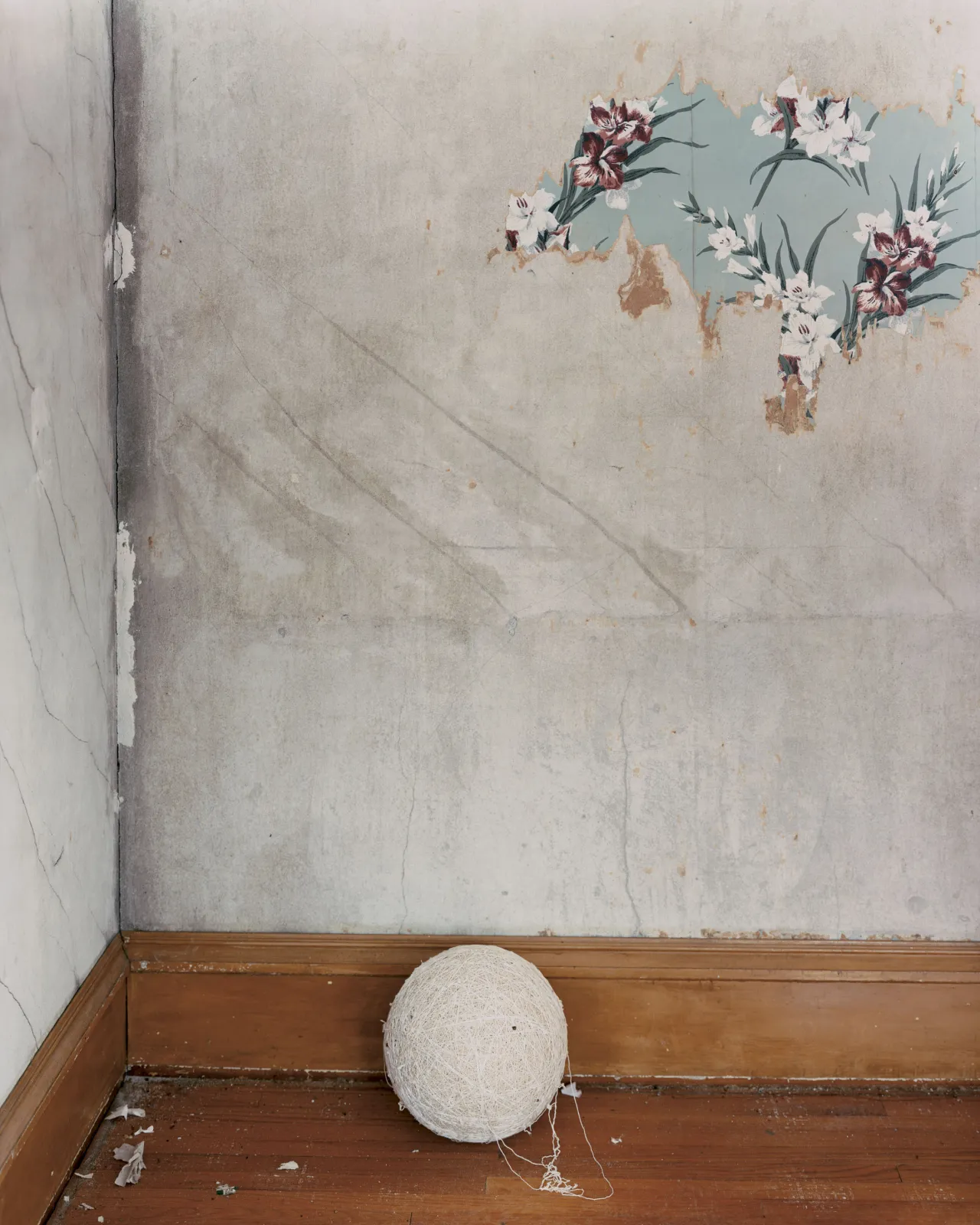 Green Island, Iowa (Ball of String), 2002 © Alec Soth / Magnum Photos courtesy Sean Kelly Gallery, New York and Beetles + Huxley Gallery, London