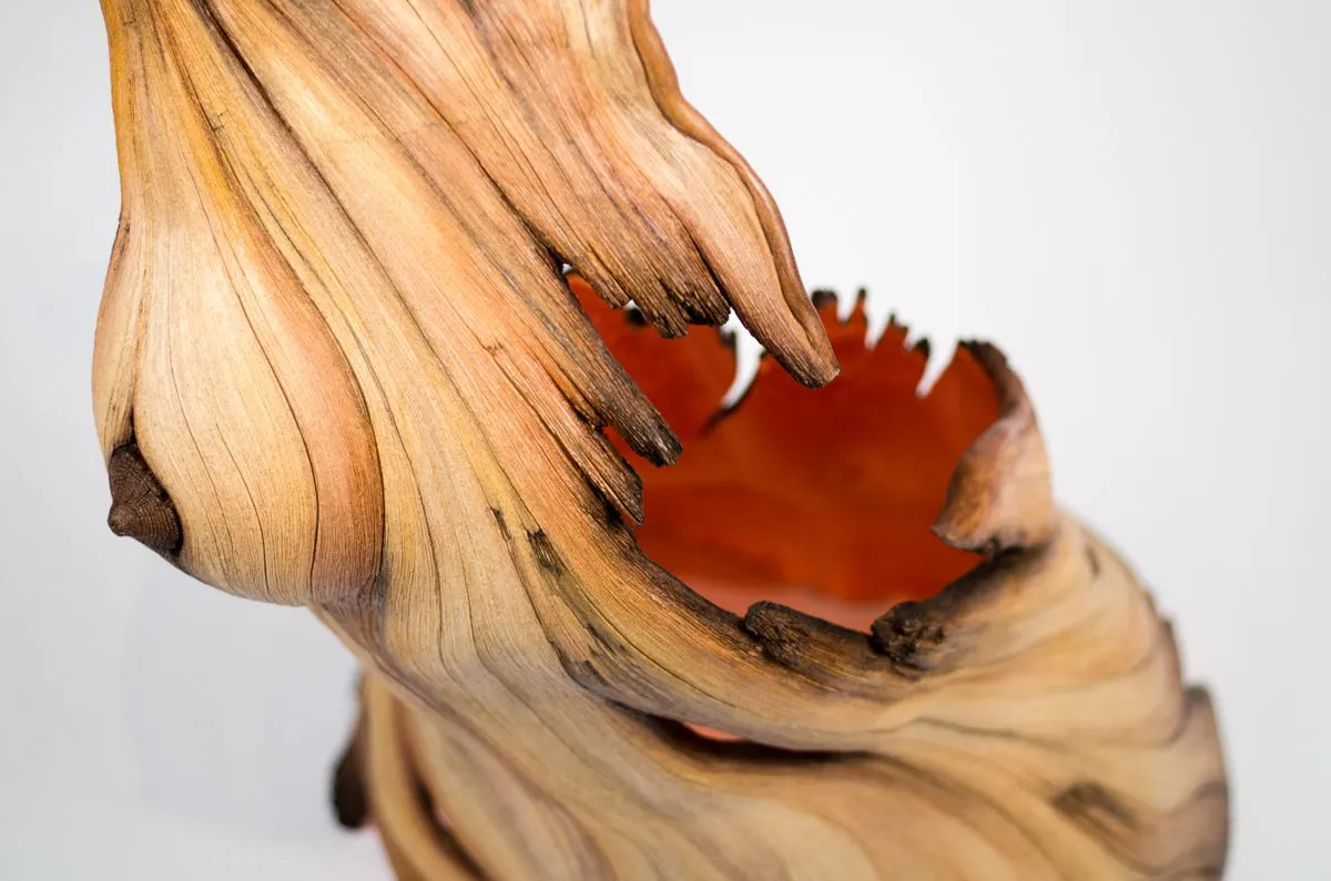 Burning from Within | Christopher David White