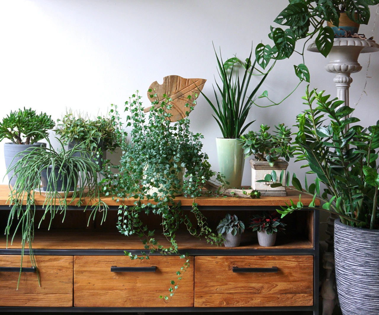 Image licensed via Adobe Stock