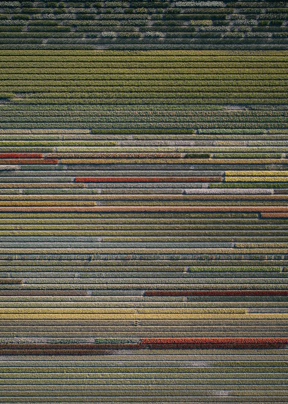 © Tom Hegen