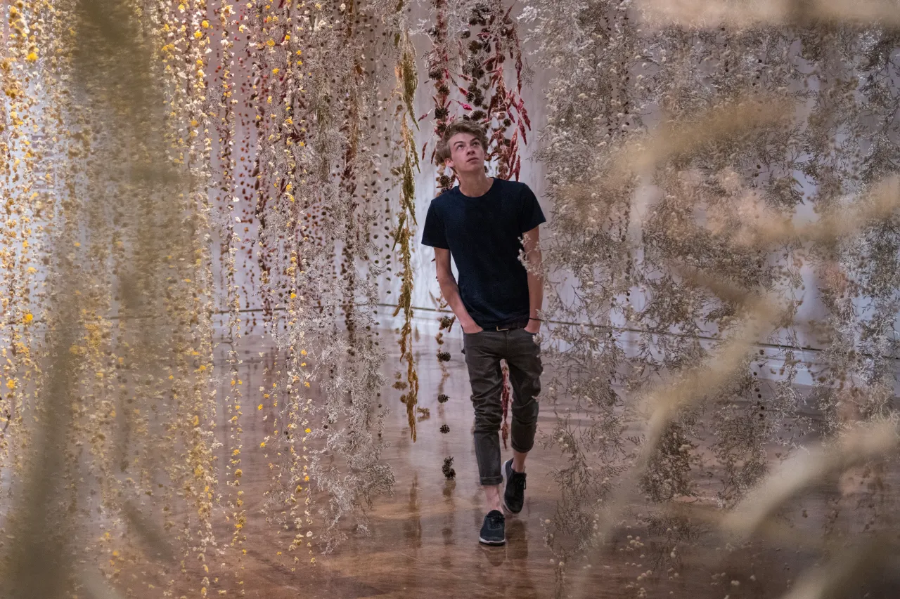 Image courtesy of Rebecca Louise Law