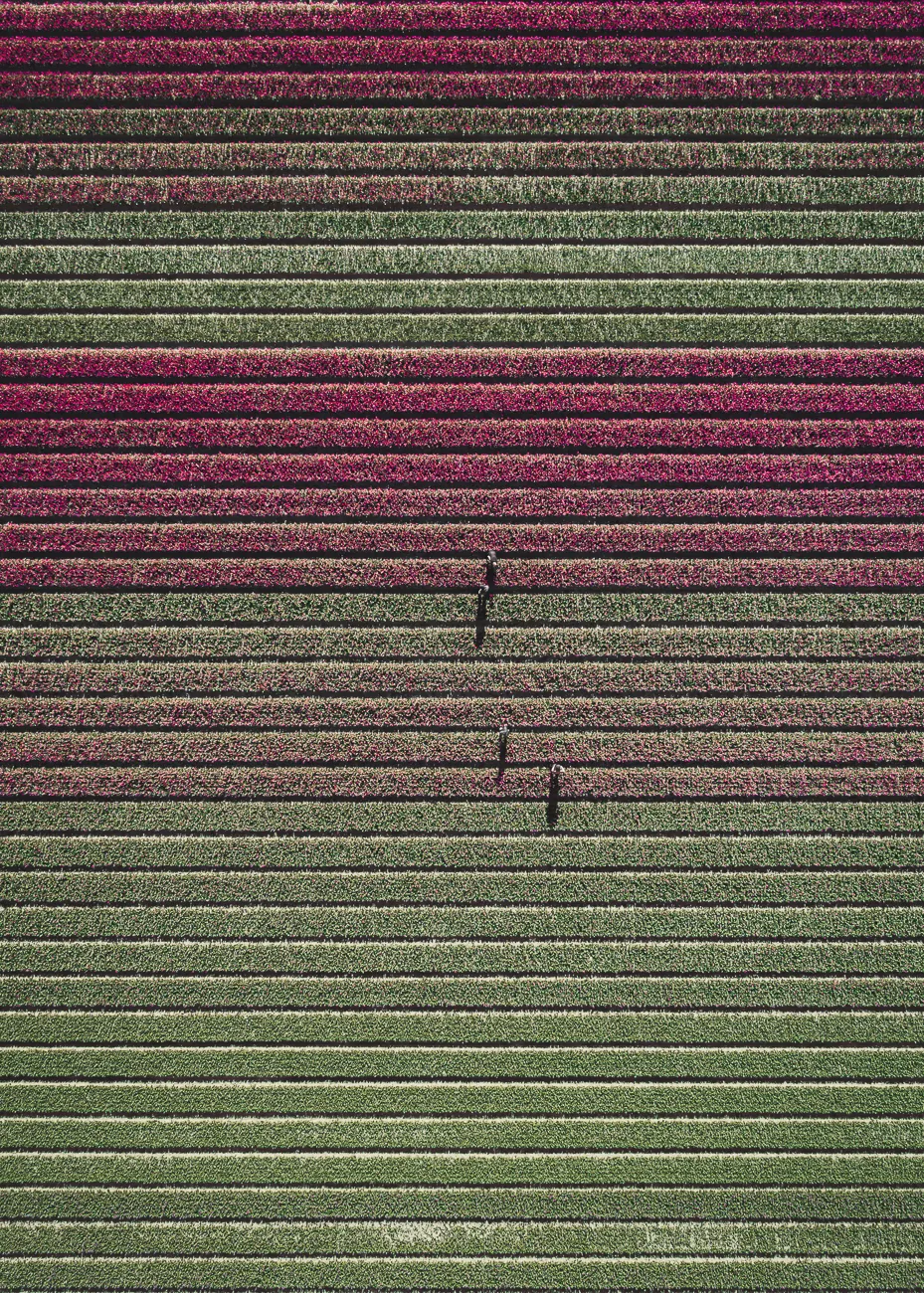 © Tom Hegen