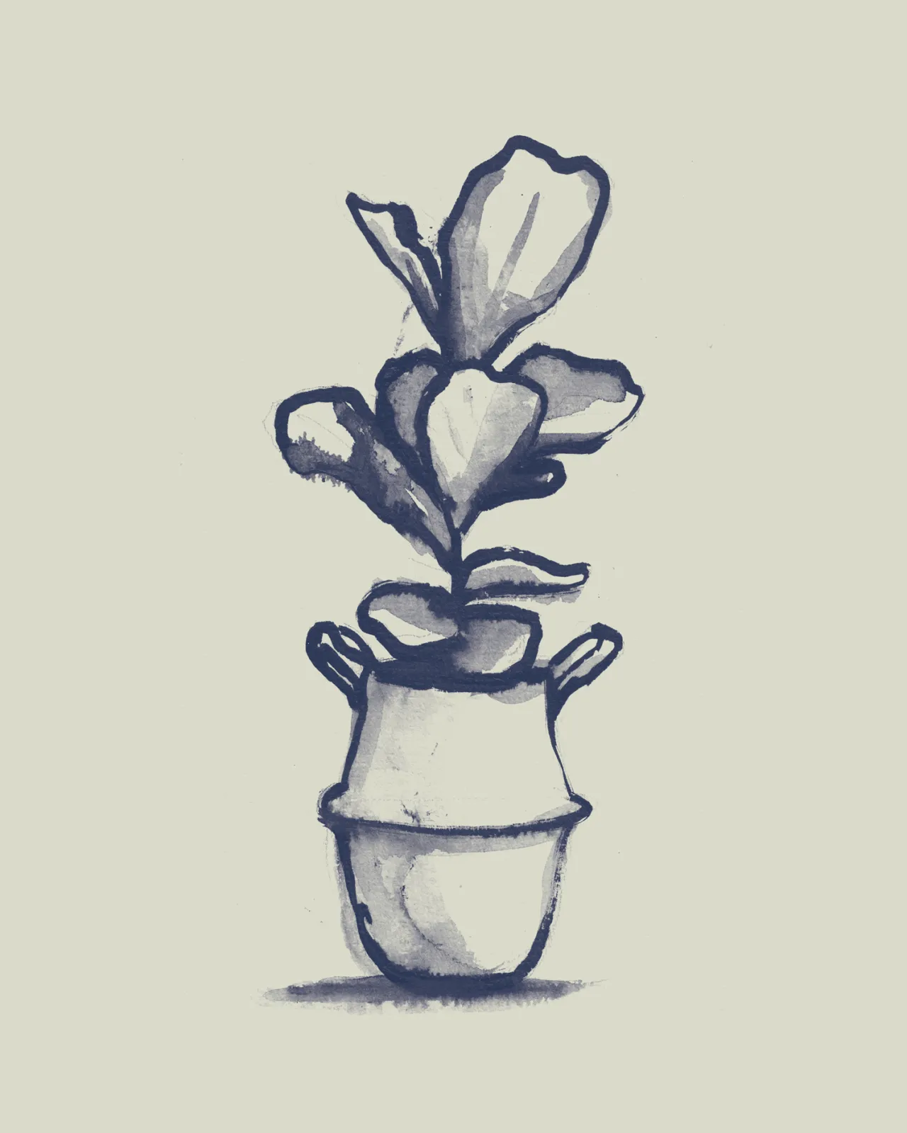Fiddle Leaf
