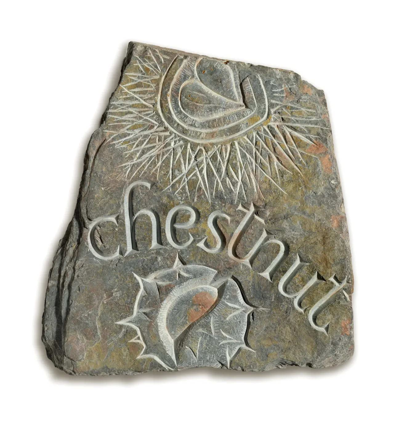 Chestnut, by Rachel Gundry