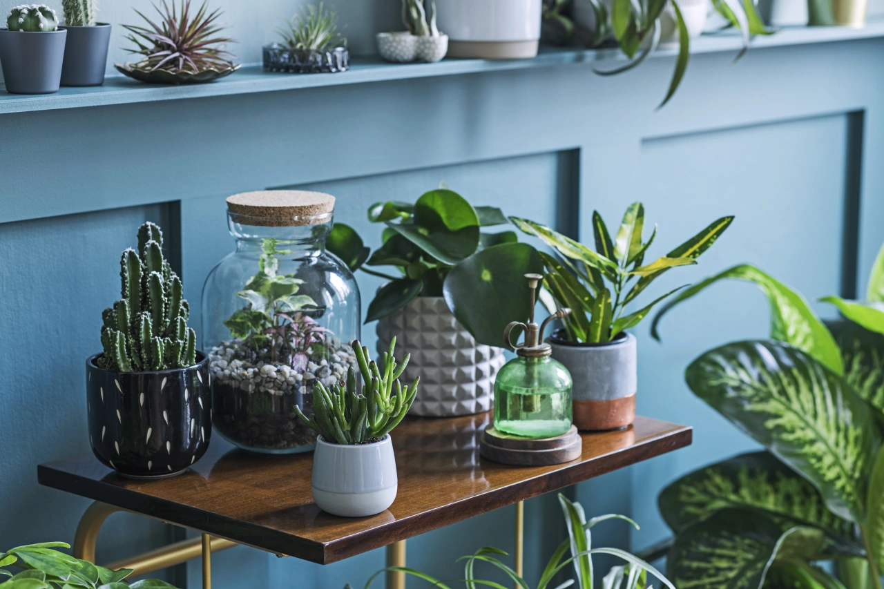 Image licensed via Adobe Stock