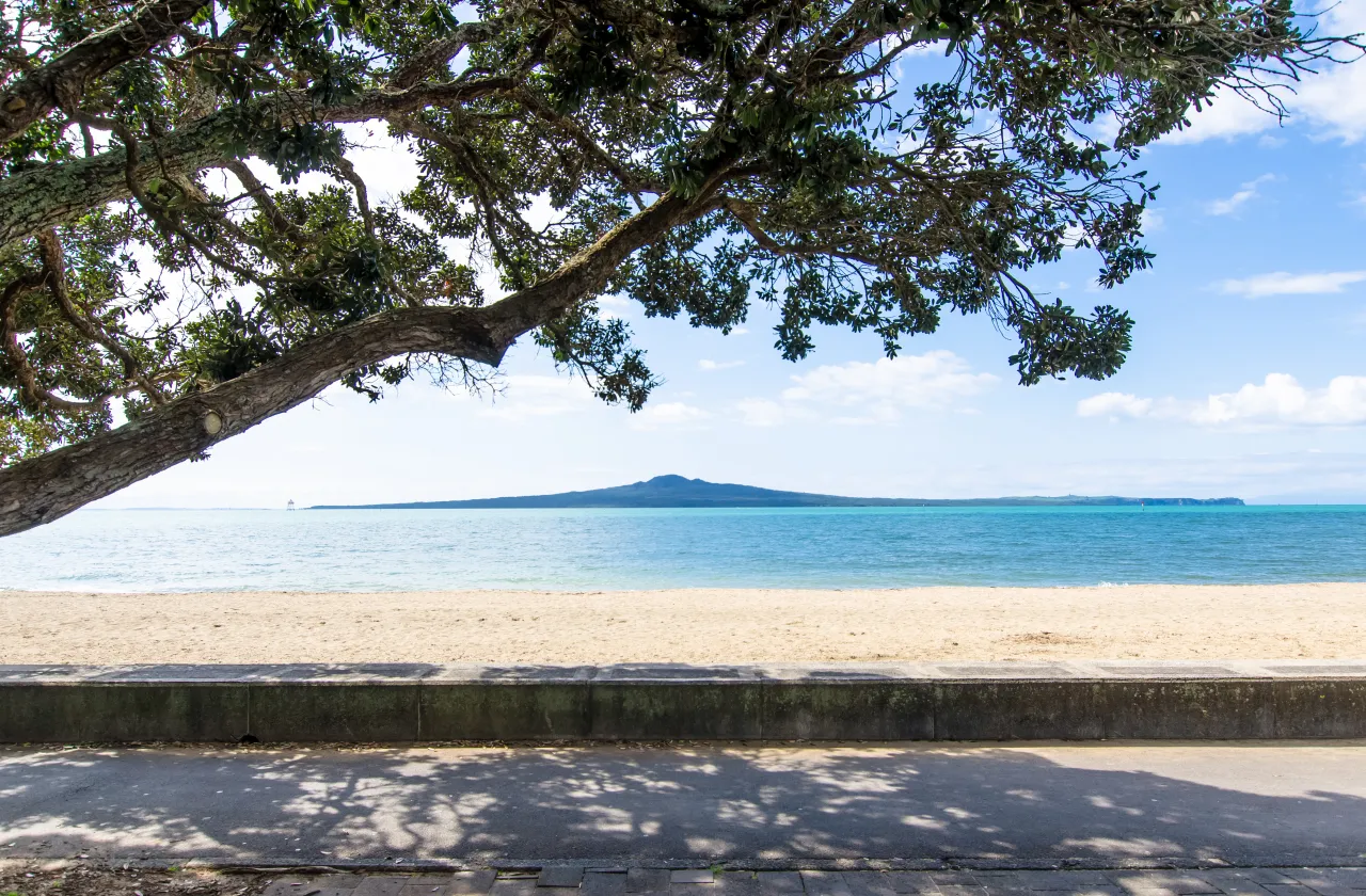 Rangitoto Island. Image courtesy of [Adobe Stock](https://stock.adobe.com)