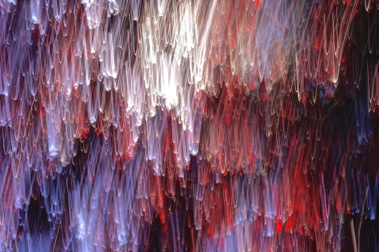 "Wavelength" by Pen Densham. From the Napa Crimson tree series. Taken in Napa Valley, 2013