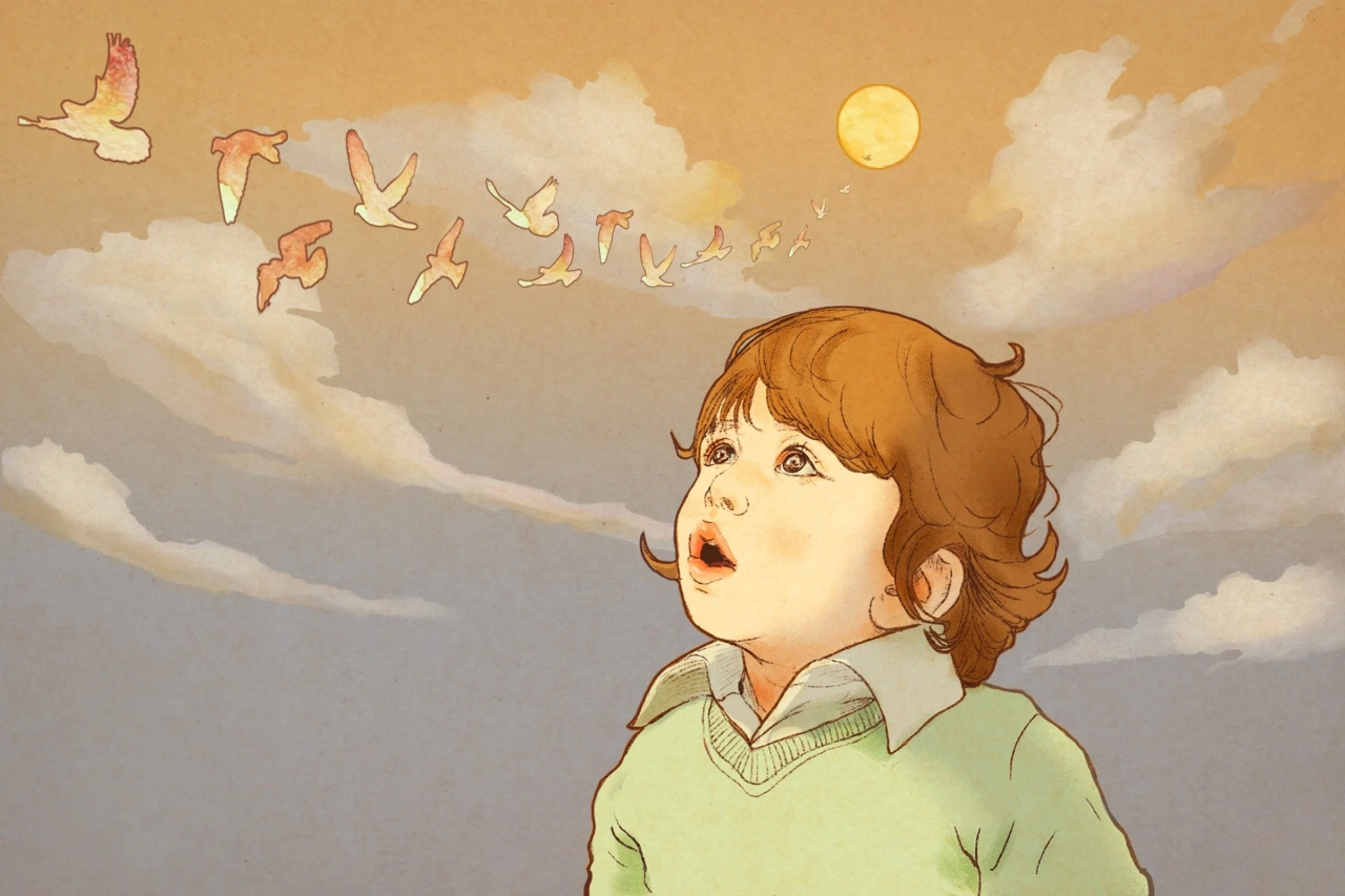 A wide-eyed boy in a green jumper looks up at a flock of birds flying across a warm, cloudy sky.