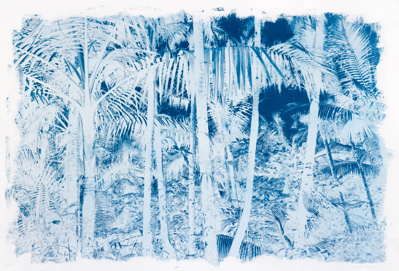El Yunque (Medium)