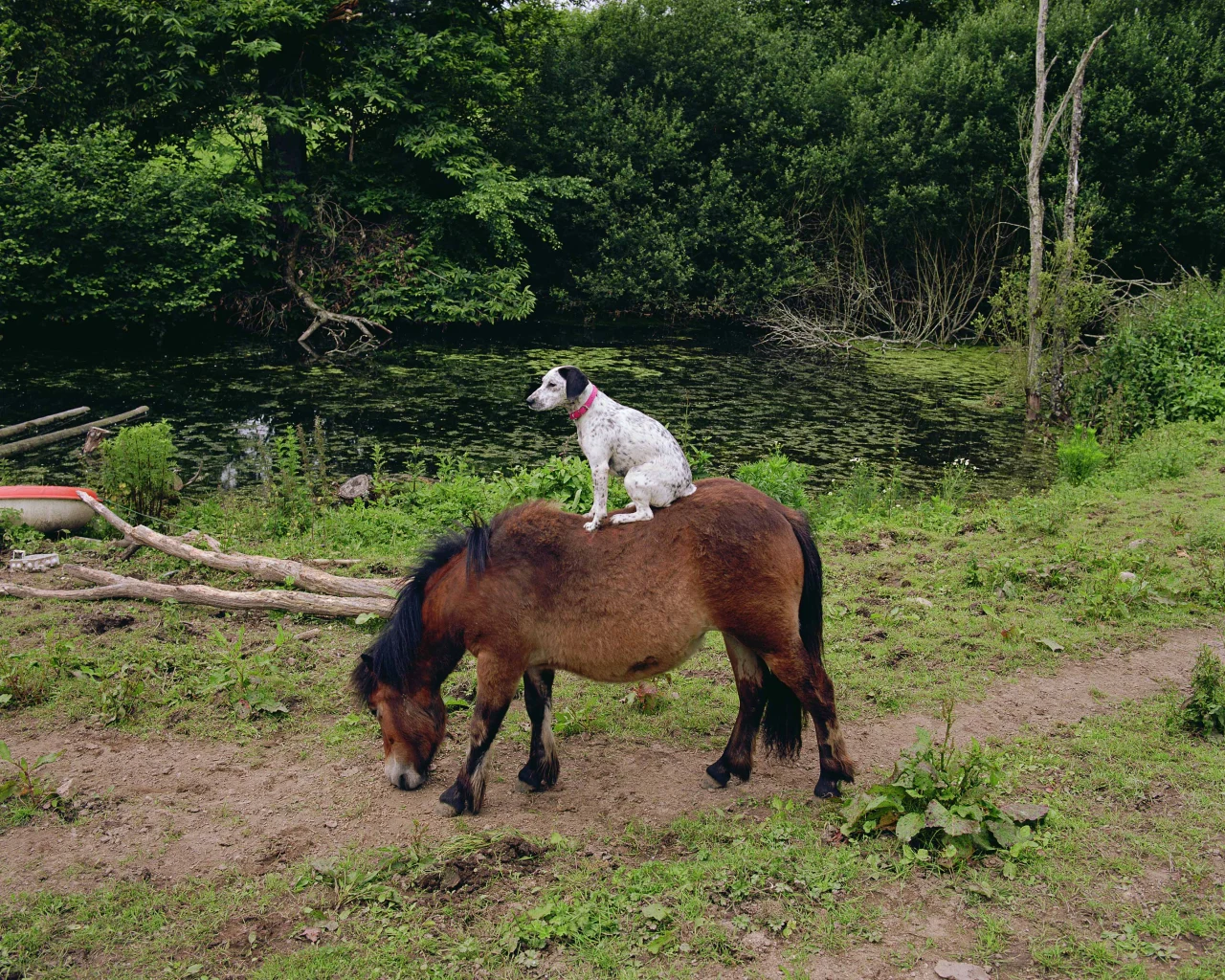 Mark Neville Parade #5, 2019 © Mark Neville