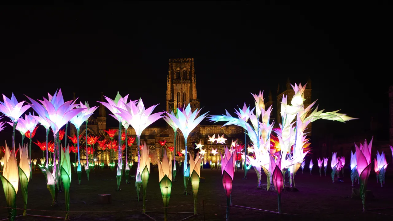 Elysium Garden, Jigantics. Lumiere Durham 2025, produced by Artichoke. Photography © 2025, Matthew Andrews.