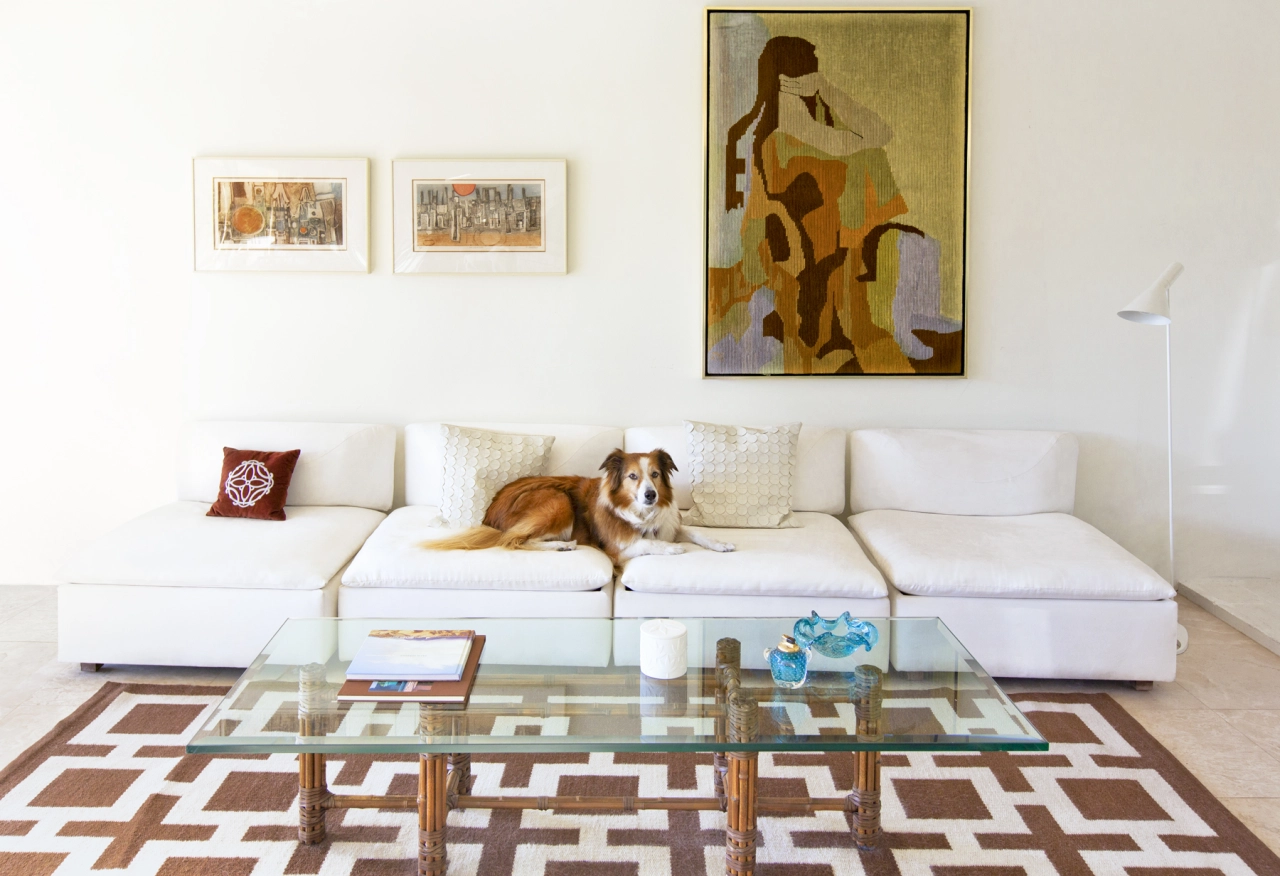 Ella, English Shepherd, Architects, Donald Wexler / Richard Harrison, 1959 © Nancy Baron