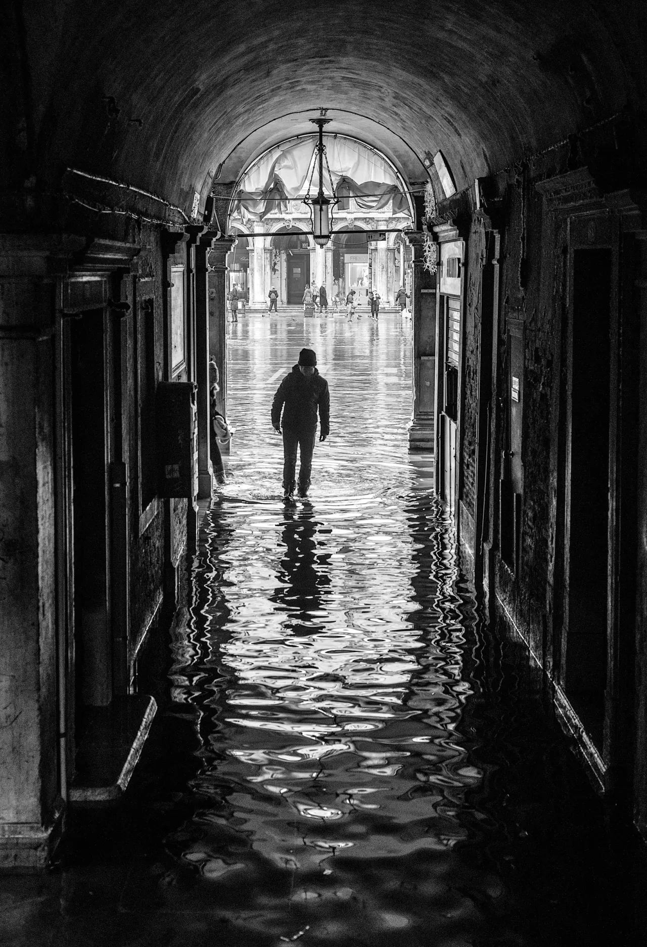 © Tony Sellen