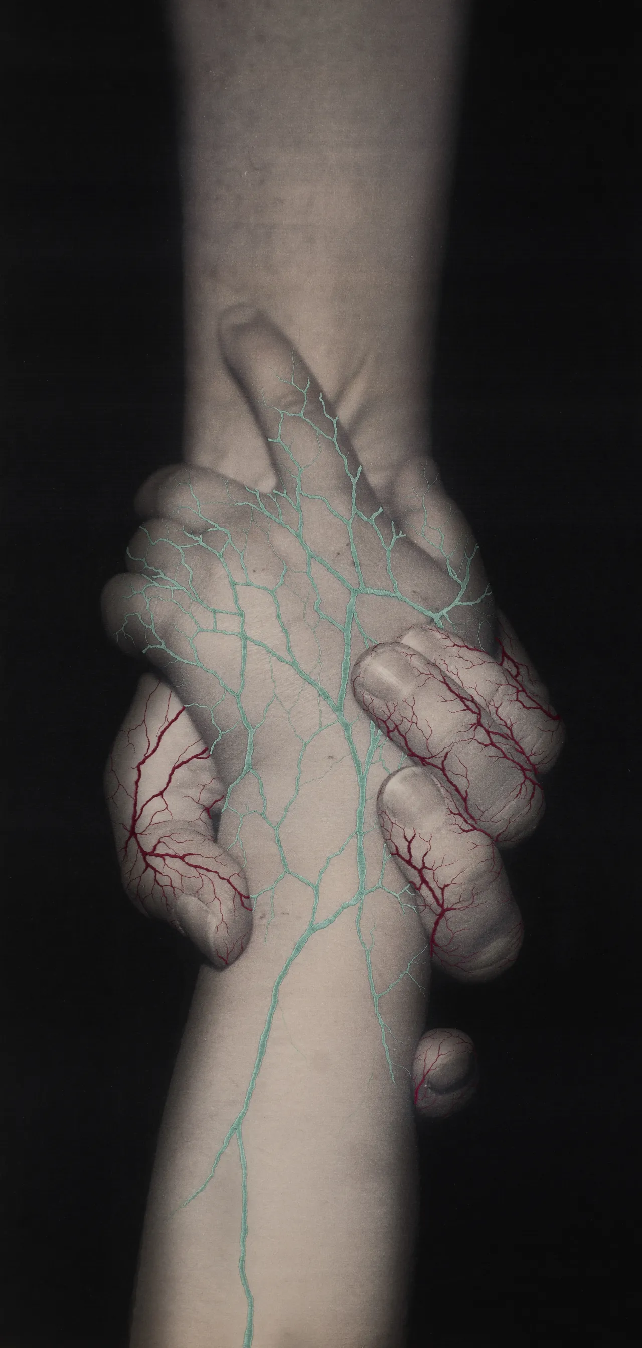 Image courtesy of Michael Hoppen Gallery