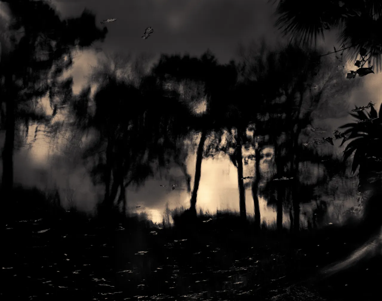 The Relentless Melt #5 (2016) © Nicholas Hughes