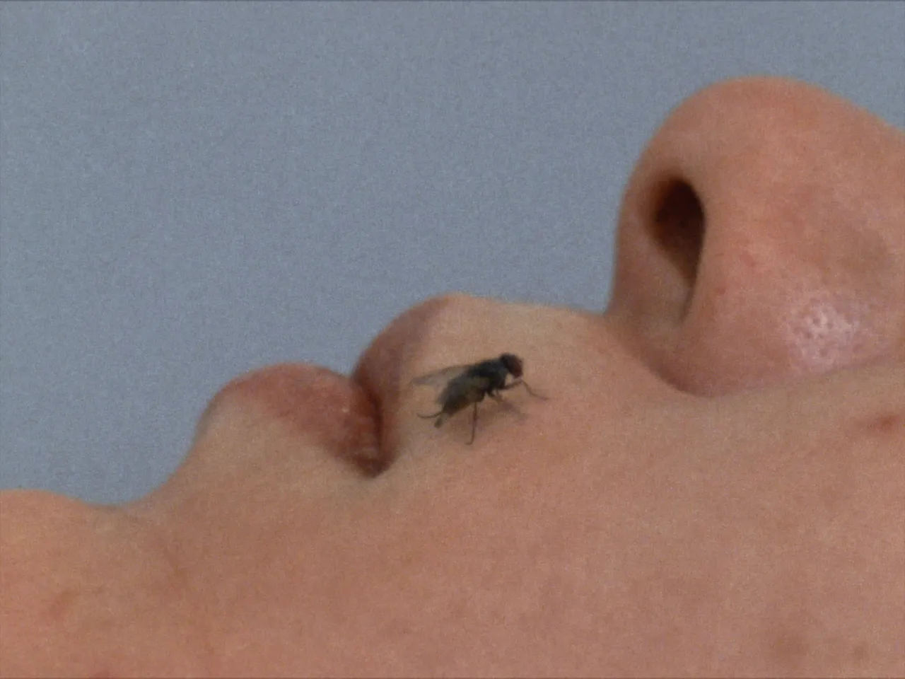 Still from the film FLY directed by Yoko Ono and John Lennon © 1970 Yoko Ono