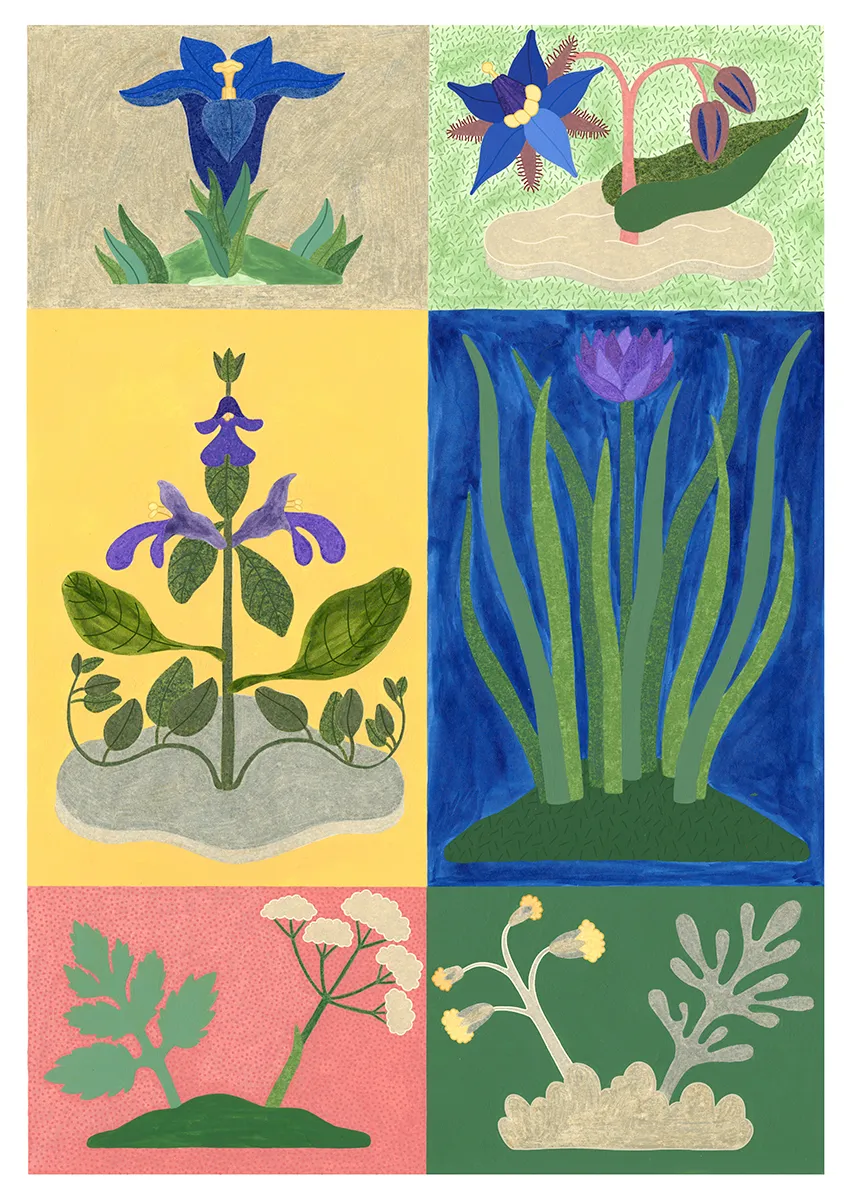Herbal Pharmacy © Melanie Gandyra