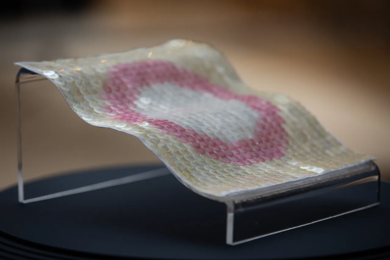 2019 MullenLowe NOVA Award Runner Up:  Elissa Brunato, MA Material Futures, ‘Bio Iridescent Sequin’