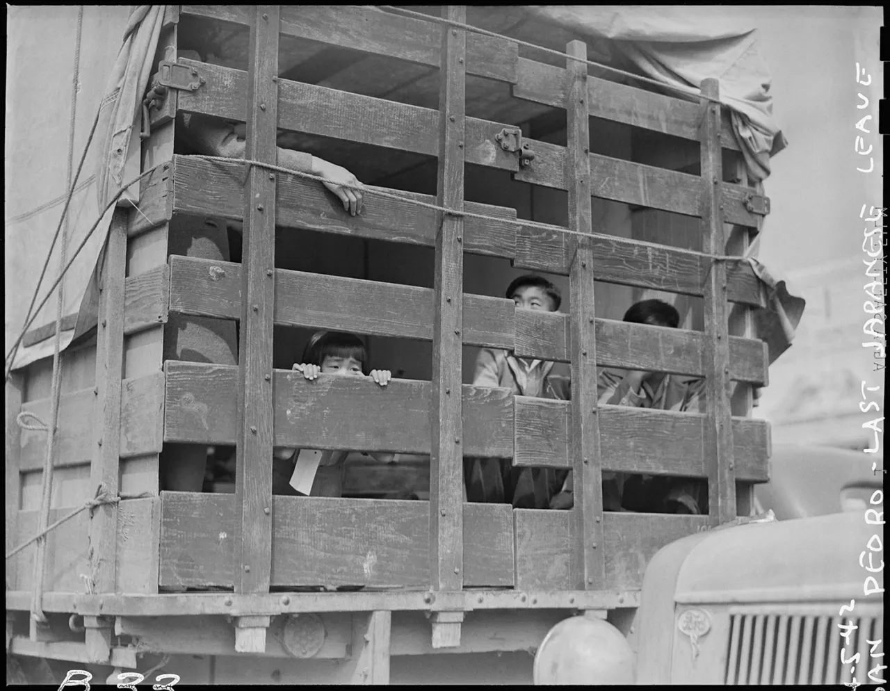Wooden transport truck with slatted sides carrying Japanese American evacuees, with faces visible through the gaps, during forced relocation to Manzanar internment camp in 1942