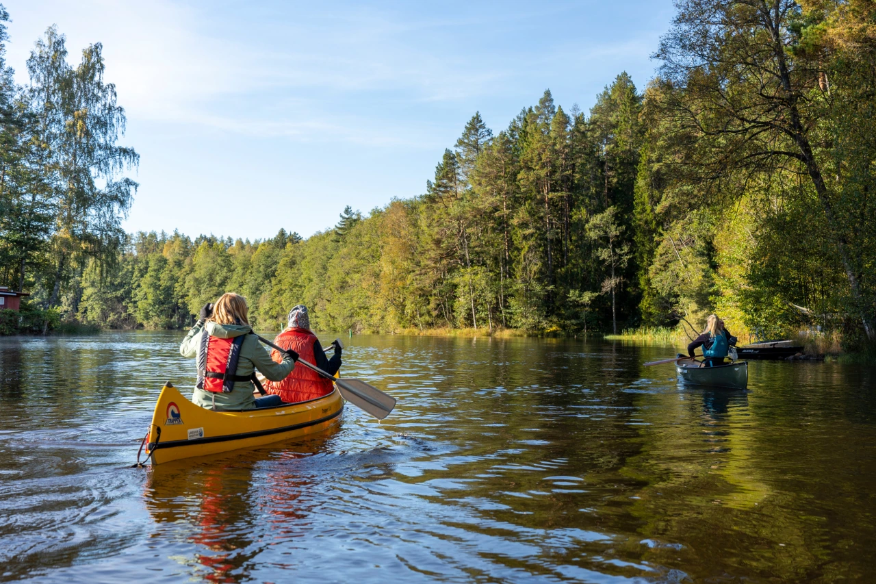Two people paddling a yellow canoe on a calm lake surrounded by evergreen forest under a blue sky