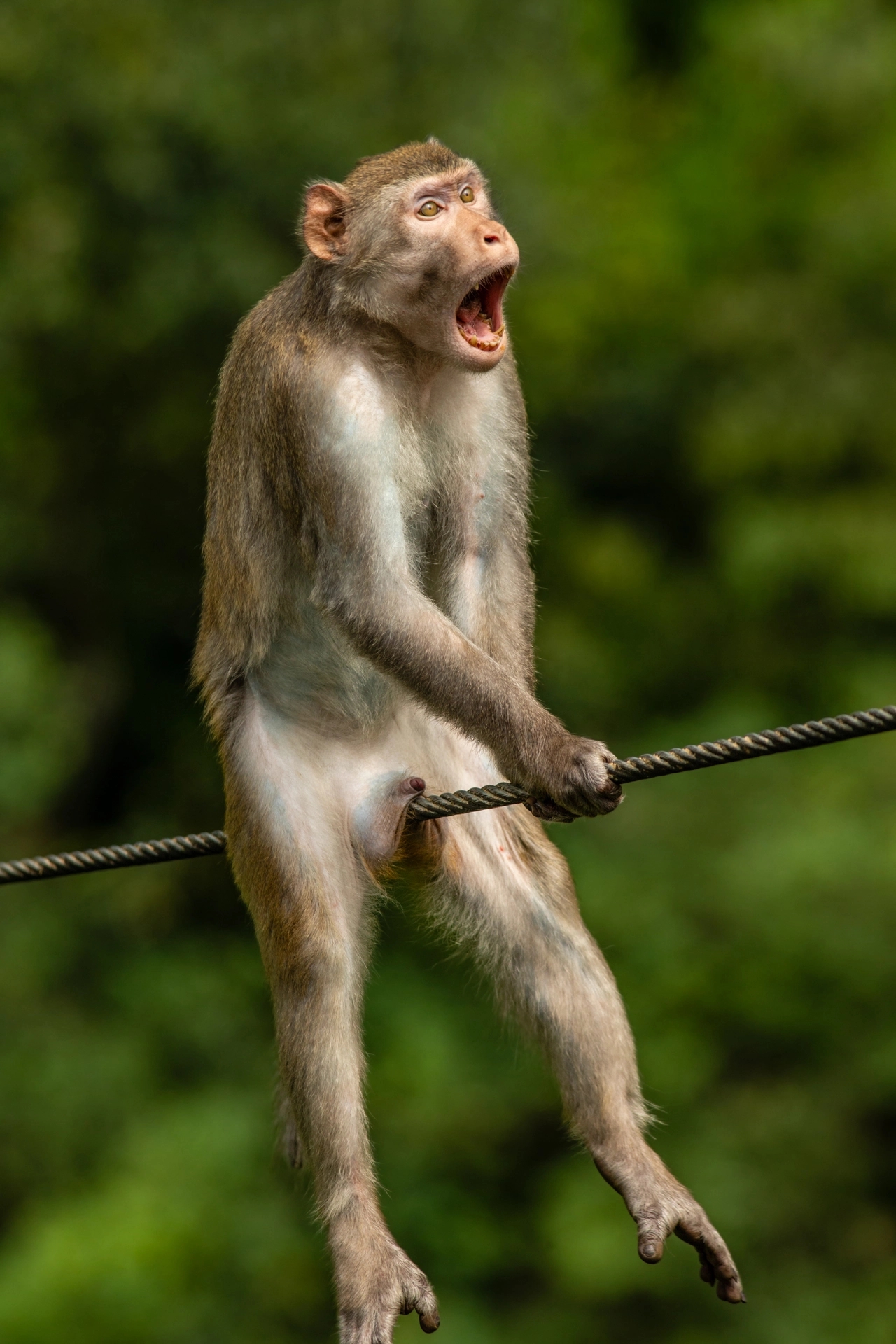 Ouch © Ken Jensen