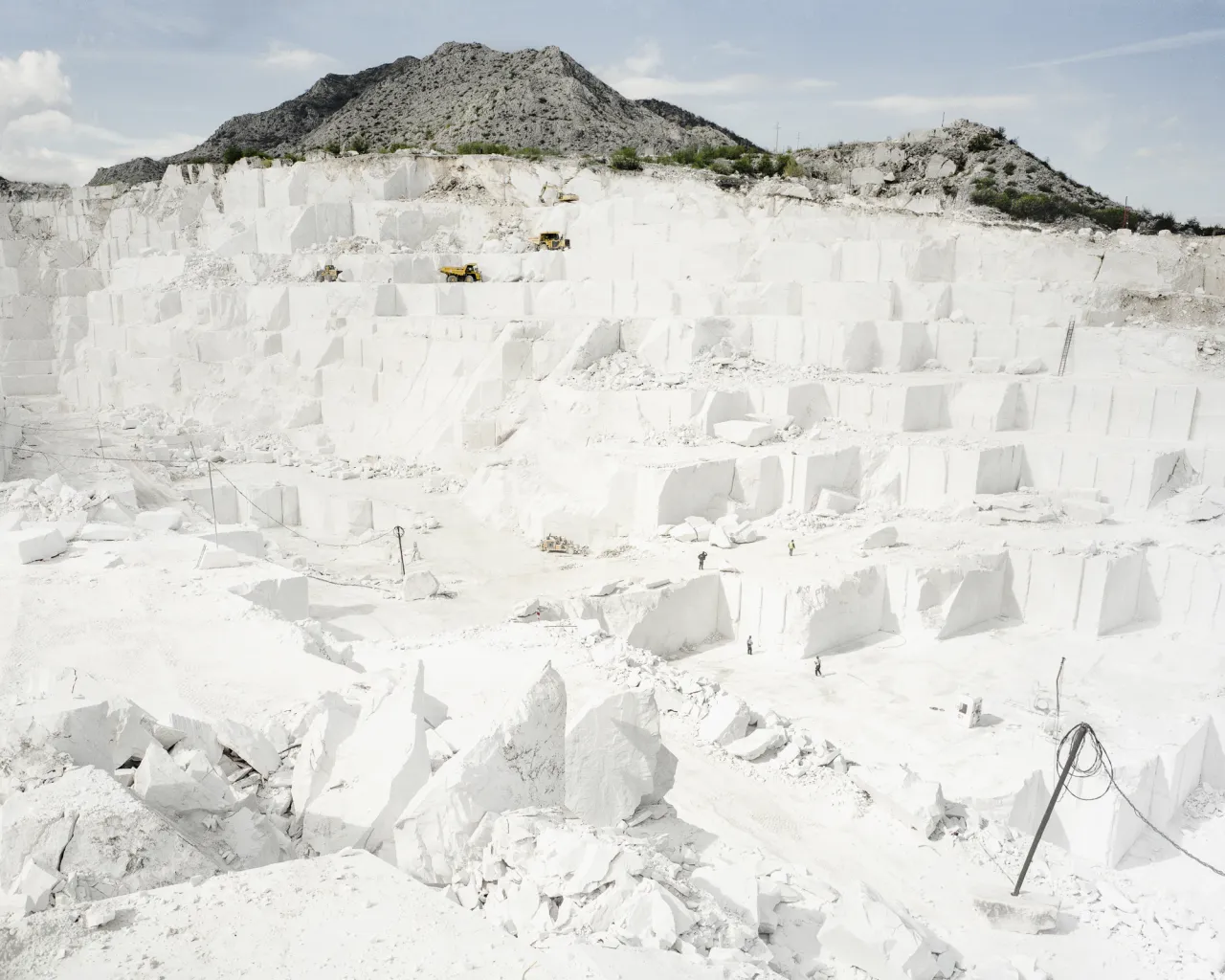 Michal Siarek, Alexander, Image courtesy of the artist and Calvert 22 Foundation