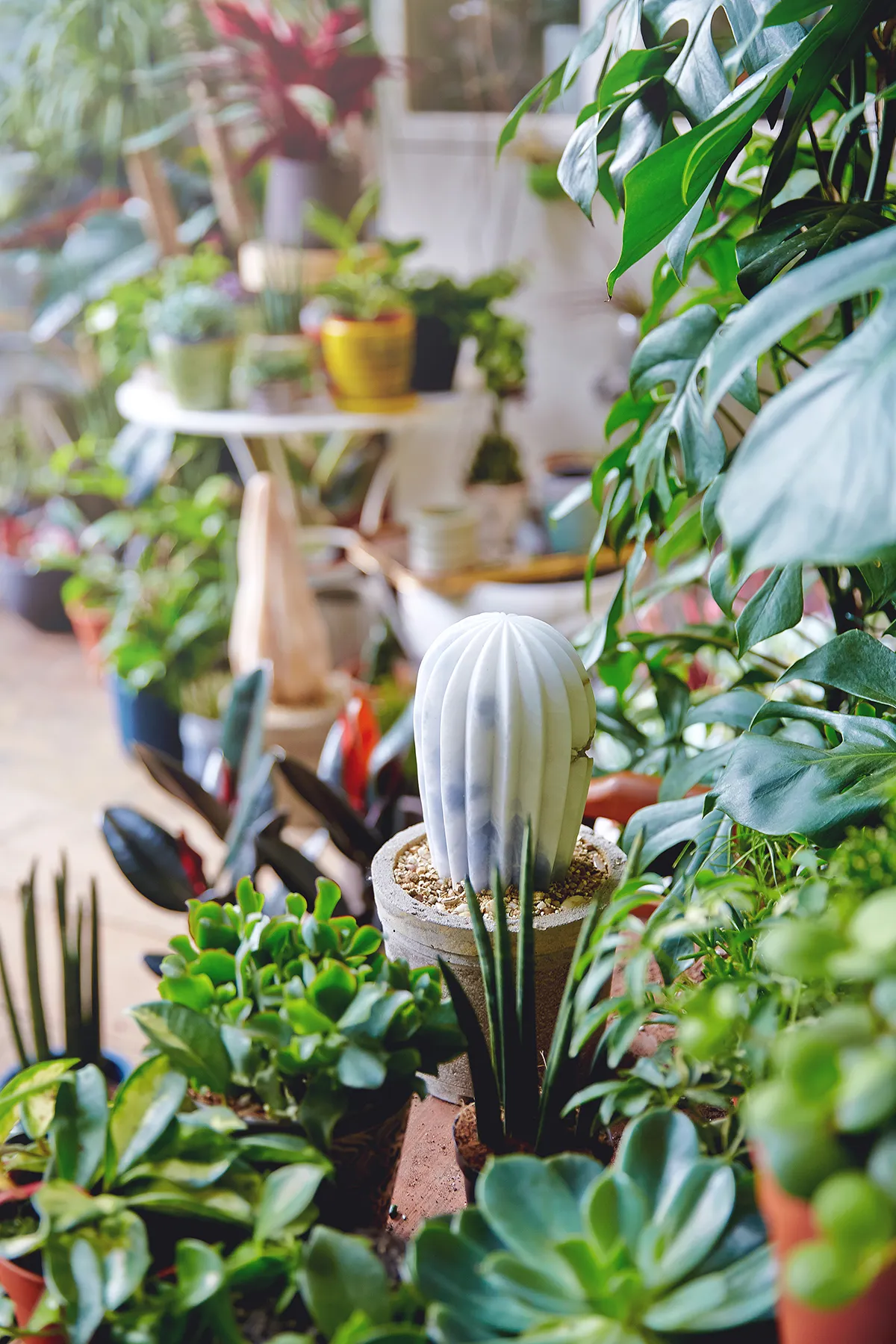 Ben Russell, Cactus House, Alabaster, 2017. Photograph courtesy of Tanya Dolver