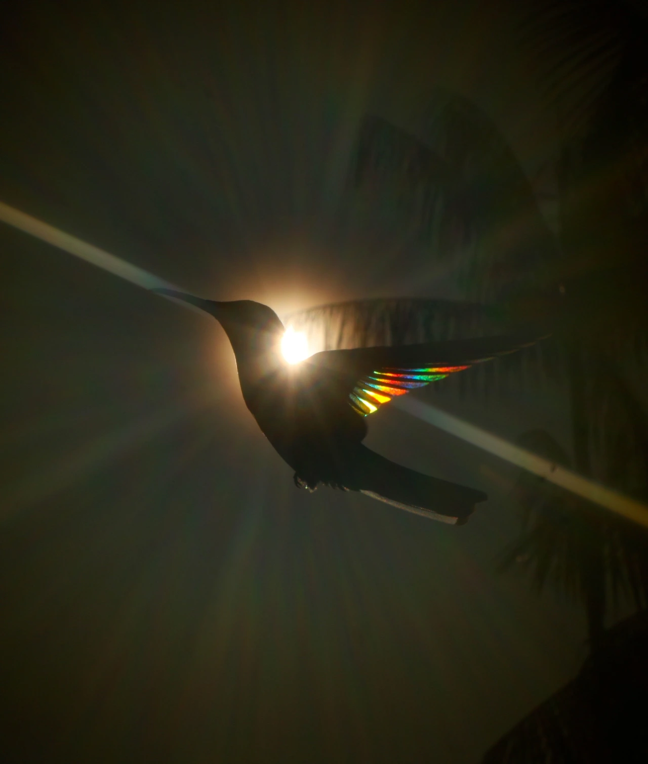 Divine Light © Christian Spencer