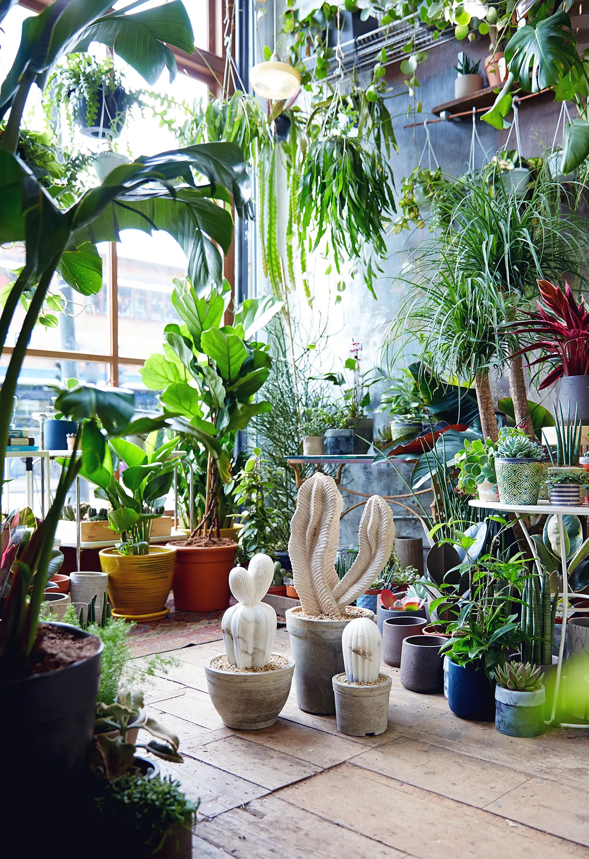 Ben Russell, Cactus House, Alabaster, 2017. Photograph courtesy of Tanya Dolver