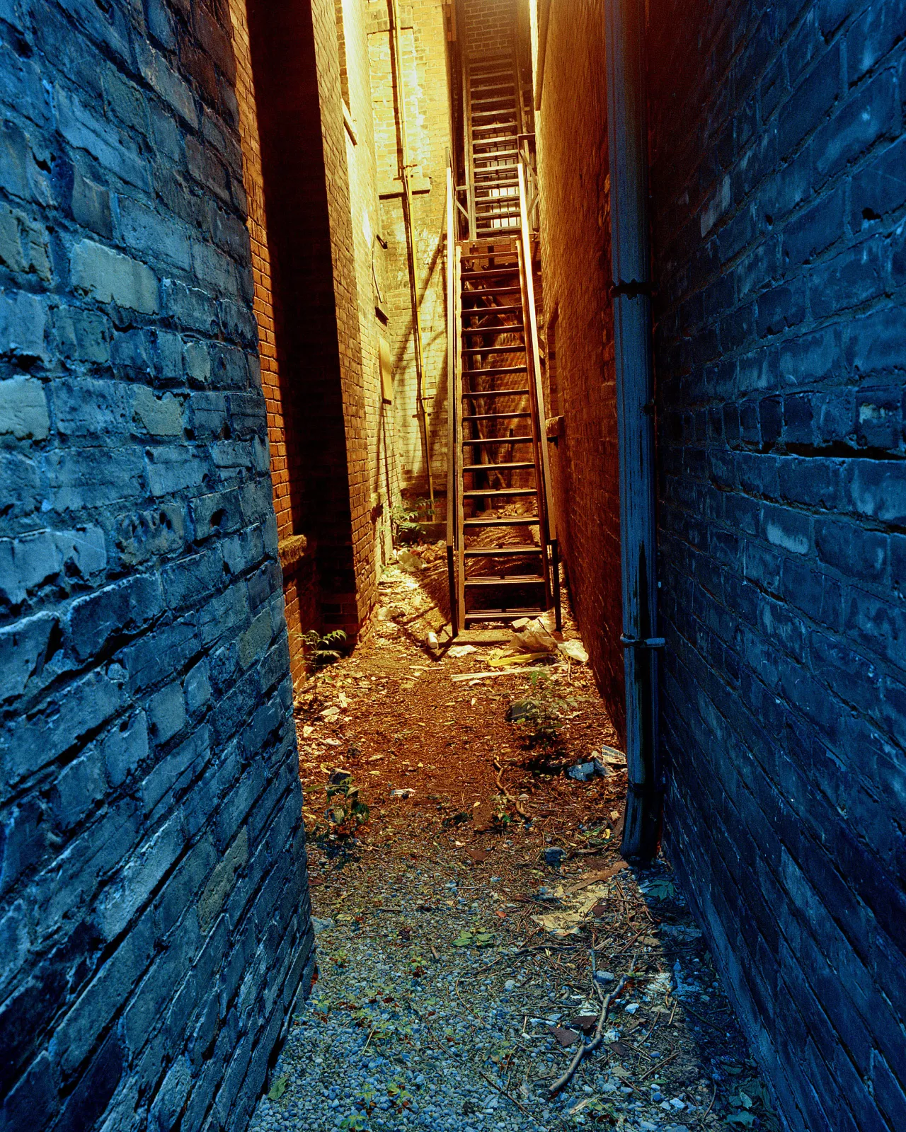 Toronto