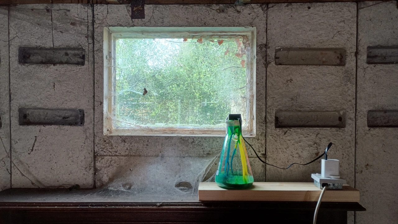 Weathered concrete wall with a window showing overgrown vegetation, beside which sits a green conical flask on a shelf next to an electrical outlet