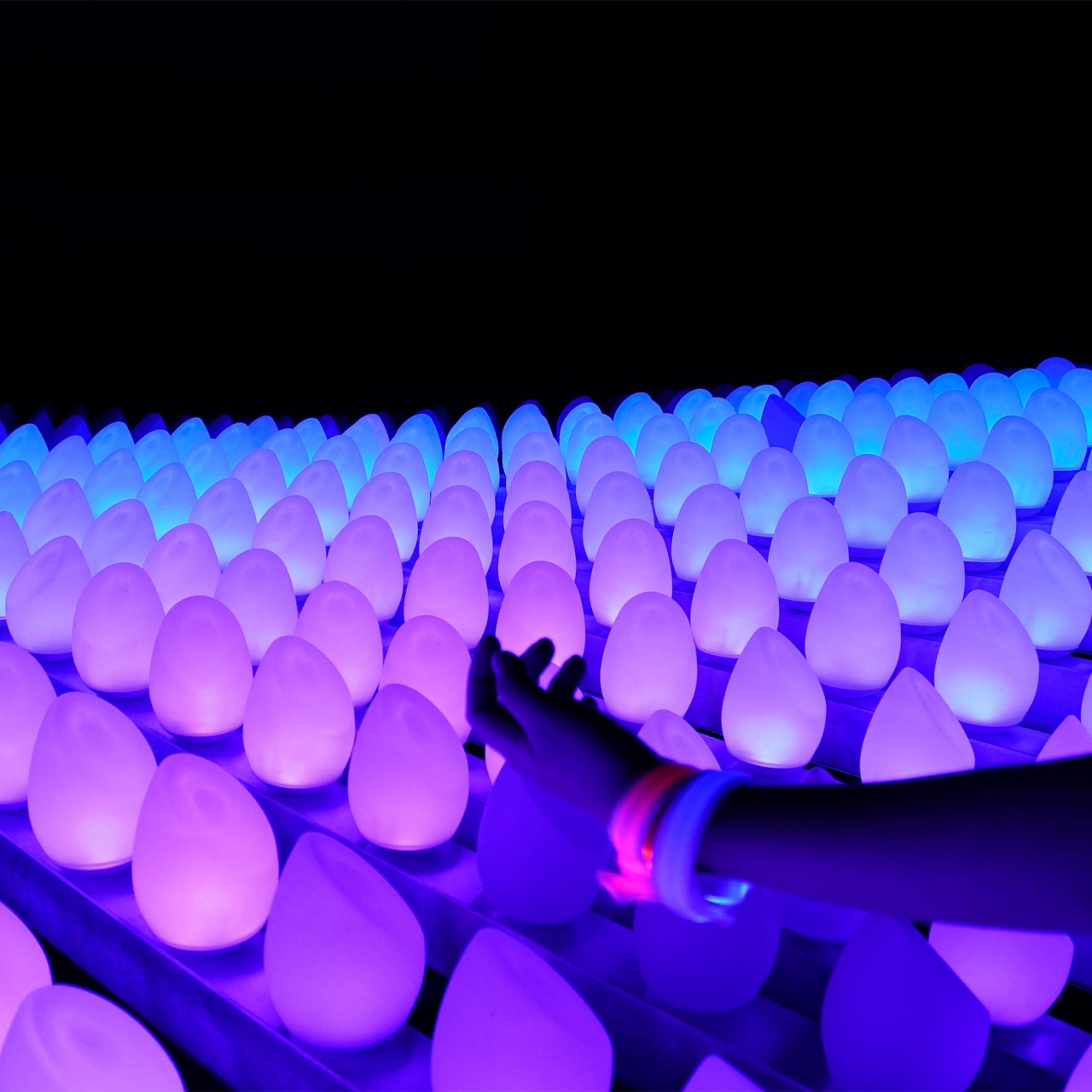 Wavelet Interactive Installation by Geeksart is Winner in Arts, Crafts and Ready-Made Design Category, 2018 - 2019
