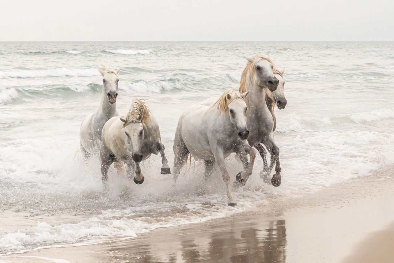 © Matjaž Šimic, Slovenia, Winner, National Awards, Natural World & Wildlife, 2022 Sony World Photography Awards