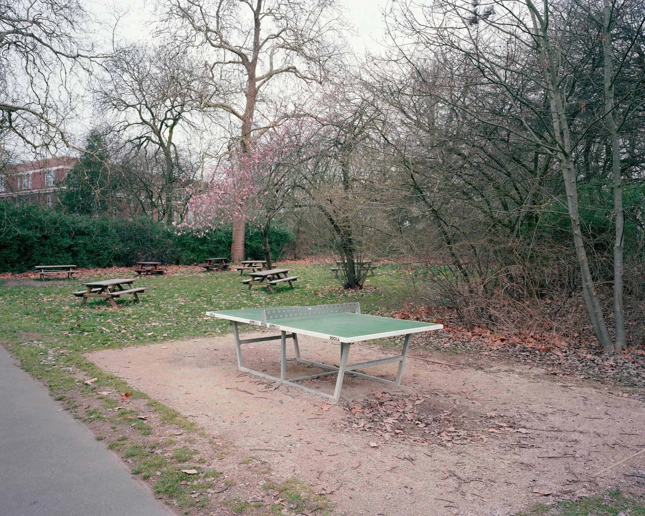 © Paul Thompson