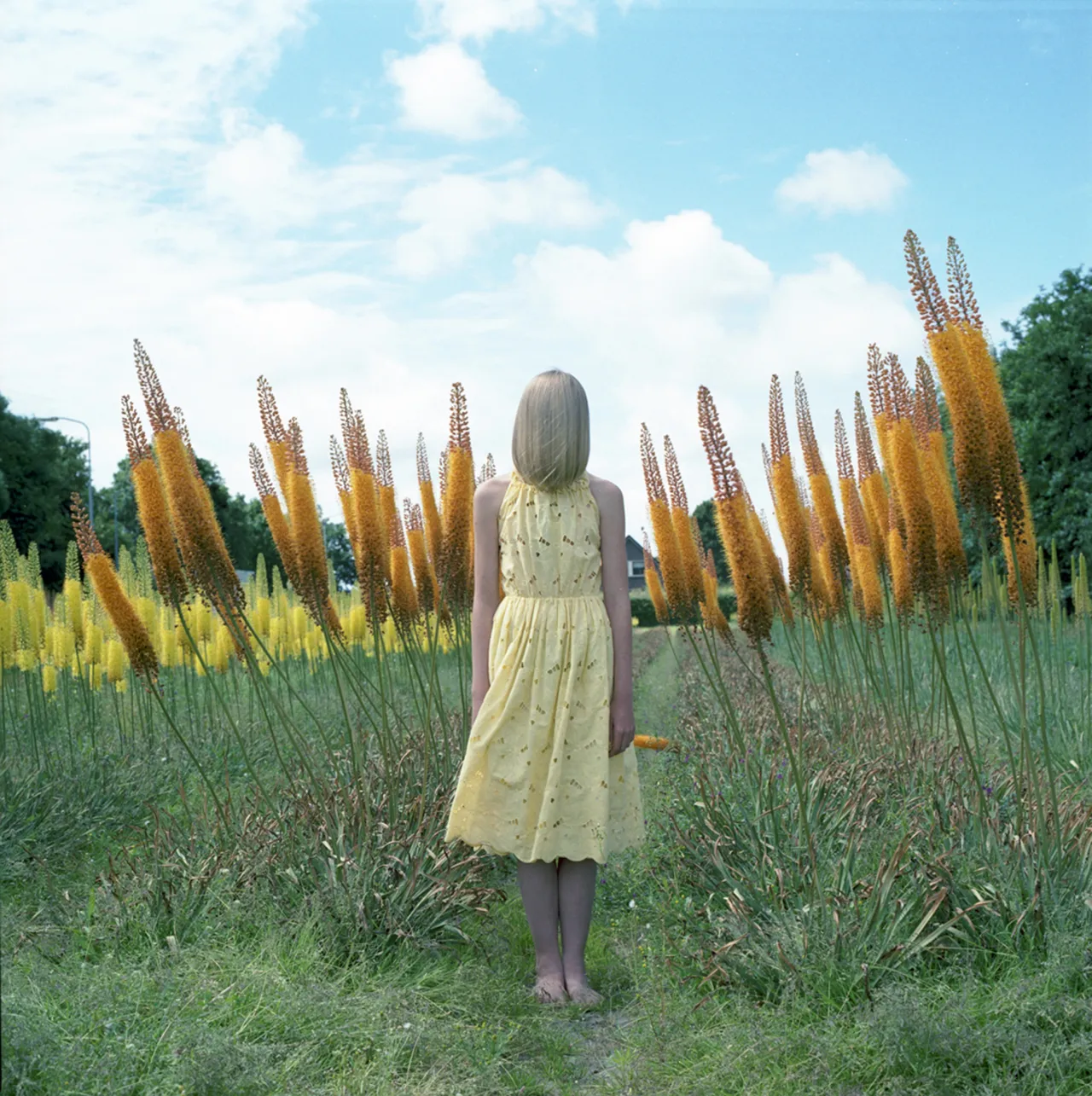 Untitled, 2014. © Hellen van Meene, Courtesy of the Artist and Yancey Richardson Gallery