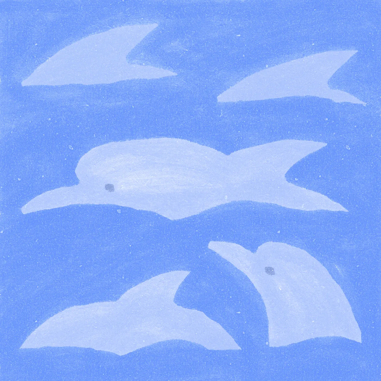 Summer & Dolphins
