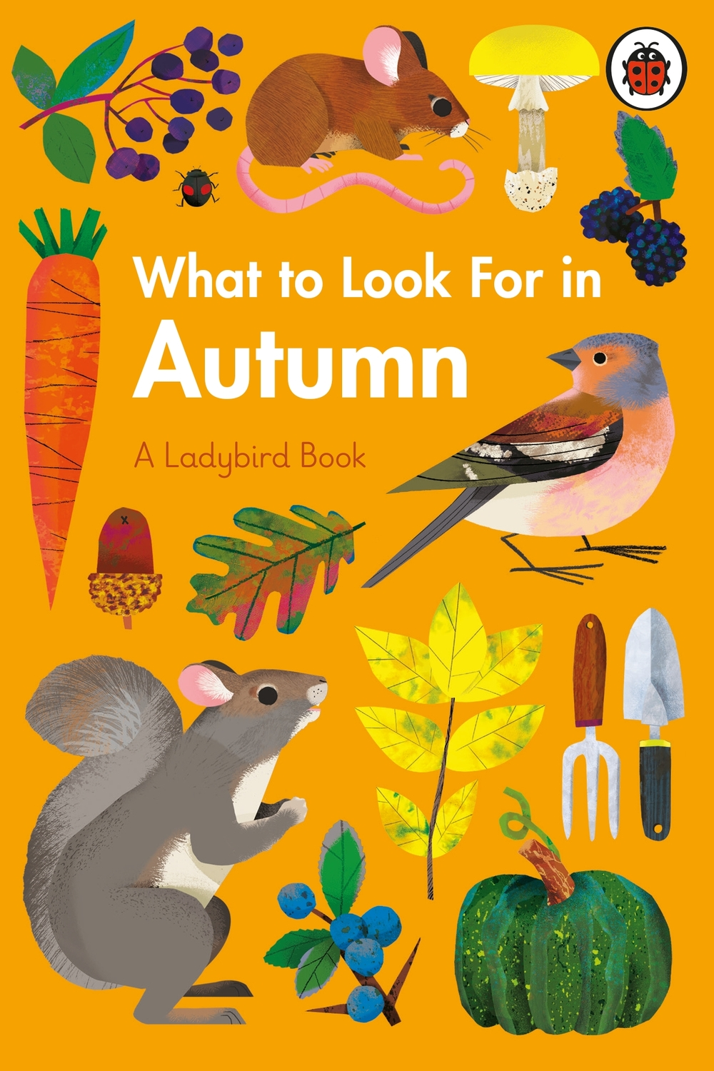 Natasha Durley and Elizabeth Jenner: What To Look For In Spring cover (Copyright © Ladybird Books, 2021)