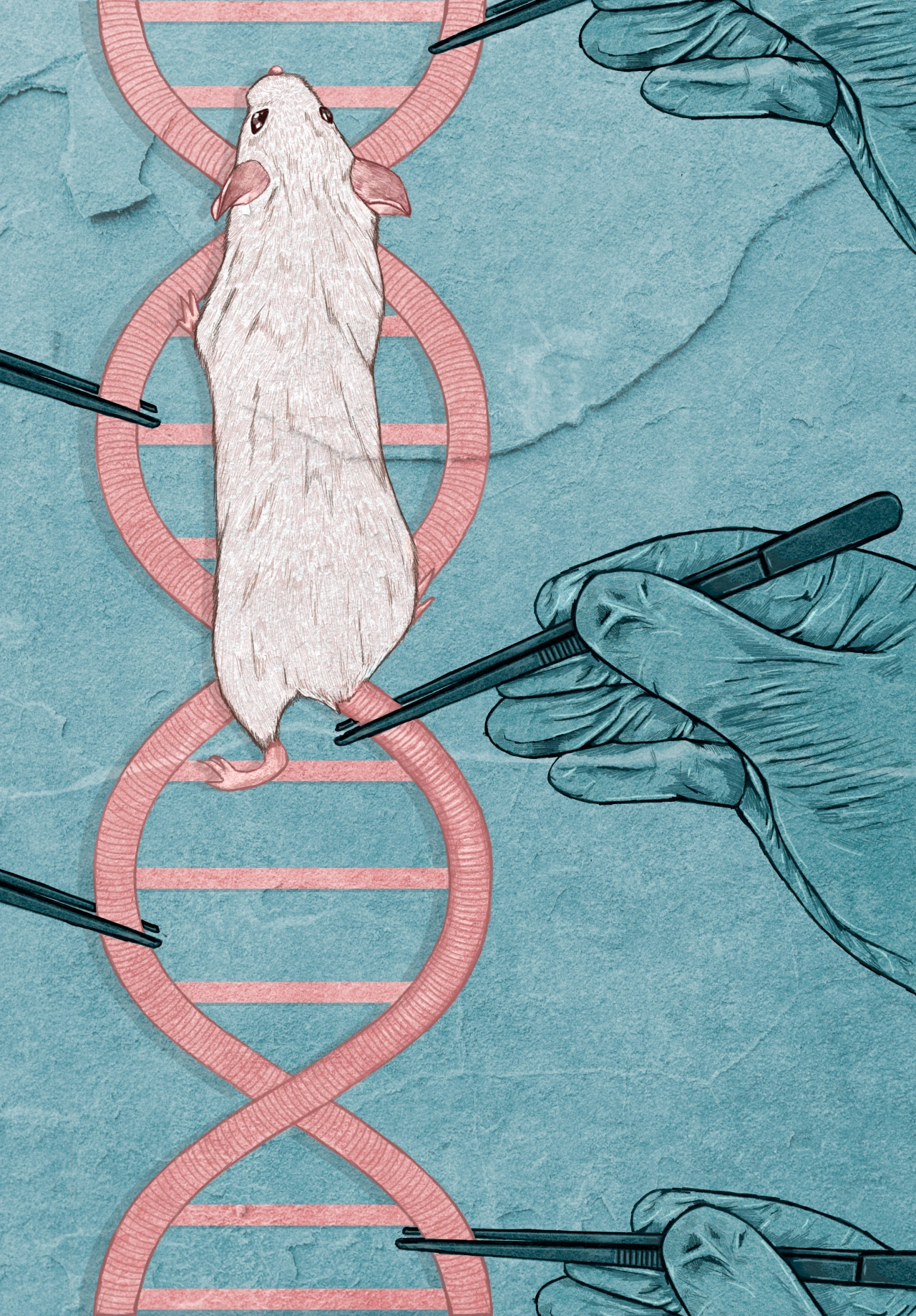 White laboratory mouse positioned above a pink DNA helix, with illustrated hands holding tweezers around it against a turquoise background