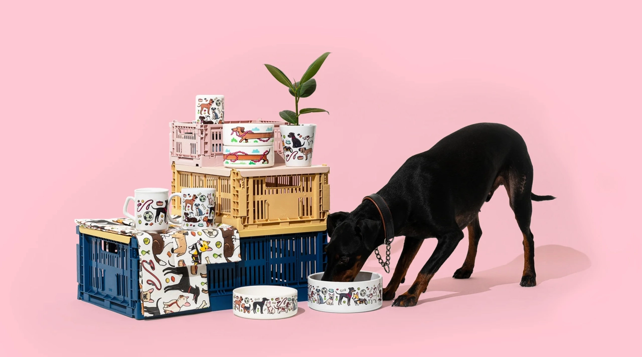 Dog Bowl by Hammo X Fred Aldous