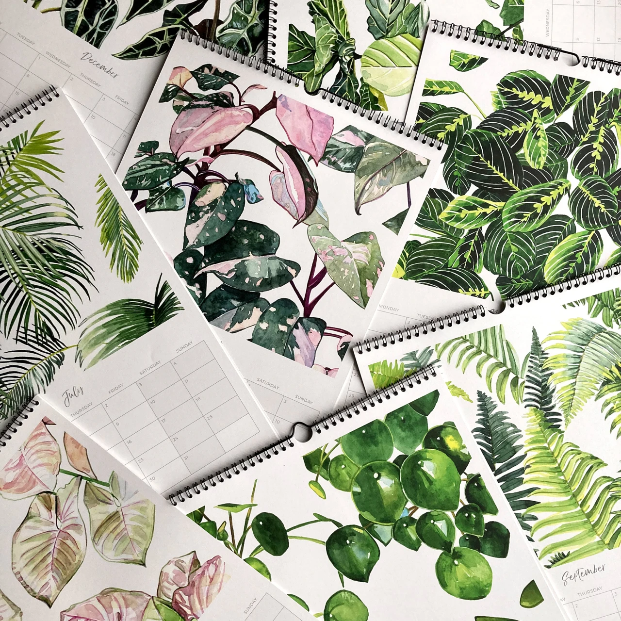 Botanical Calendar by Aleksandra Stanglewicz