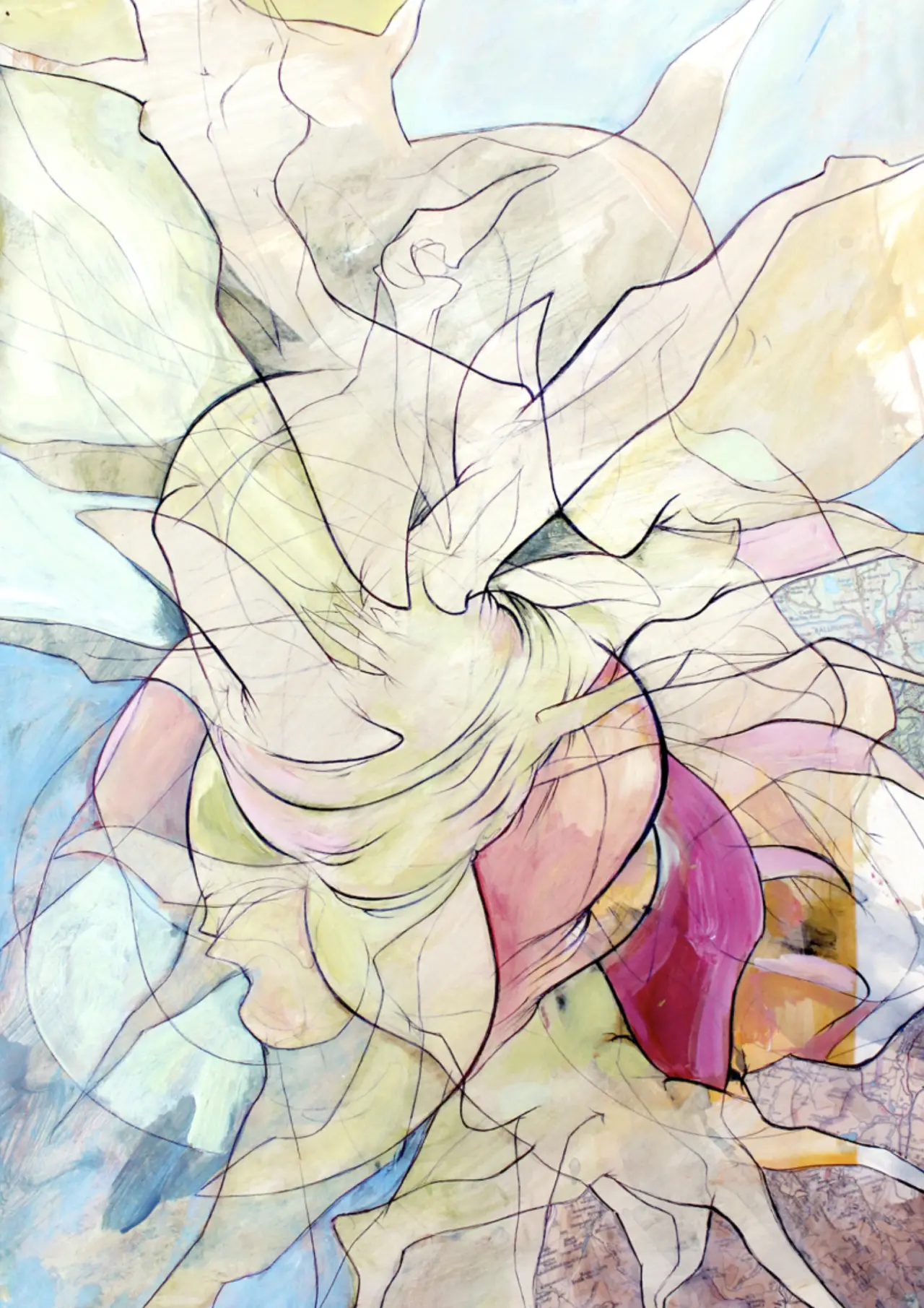 Divergence © Freshpaint