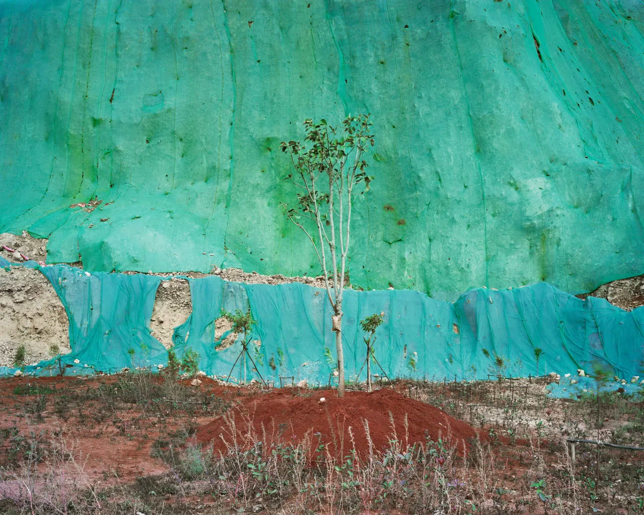 Copyright: © Yan Wang Preston, United Kingdom, 1st Place, Professional, Landscape (Professional competition), 2019 Sony World Photography Awards