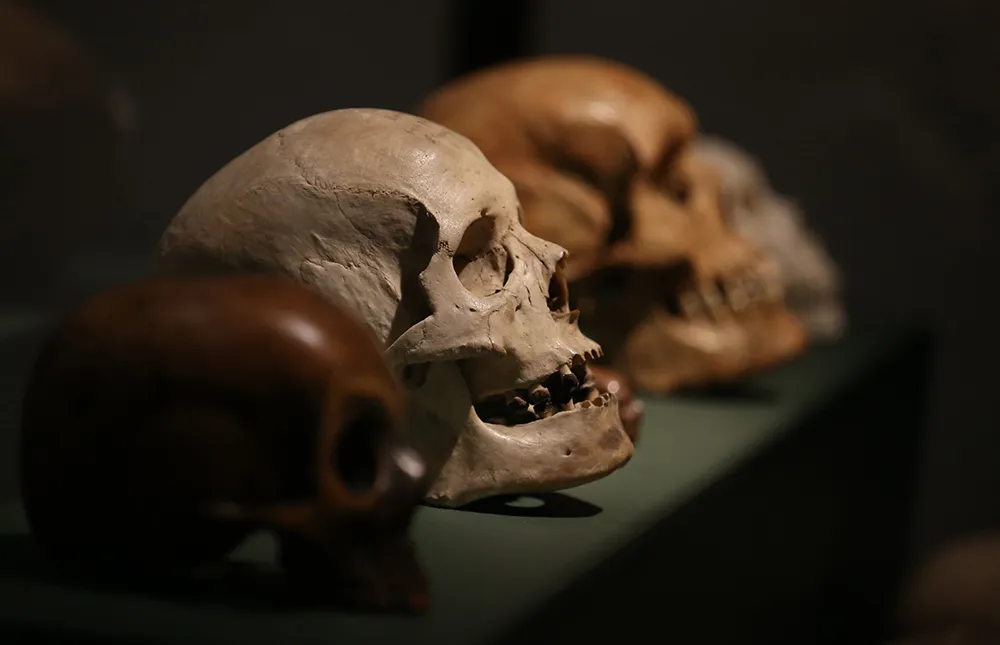 Magnificent Obsessions: The Artist as Collector, Damien Hirst’s collection. Photograph by Peter McDiarmid