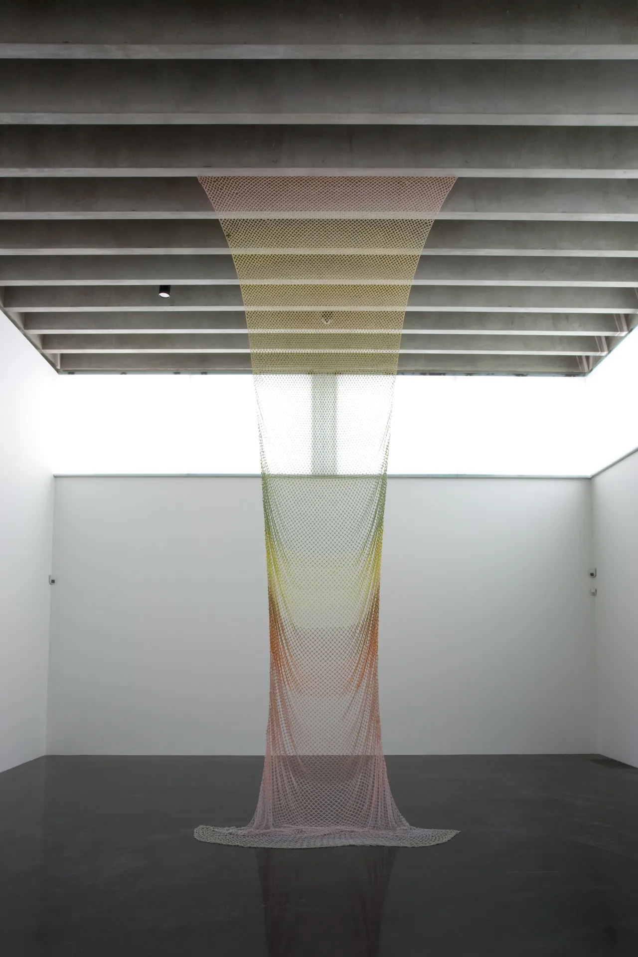 Jodie Carey, Untitled (Bouquet), 2012 © Jodie Carey, courtesy Edel Assanti