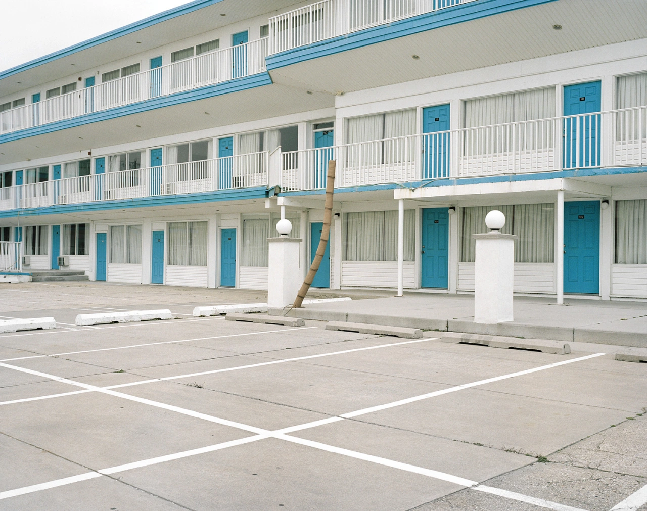 © Tyler Haughey