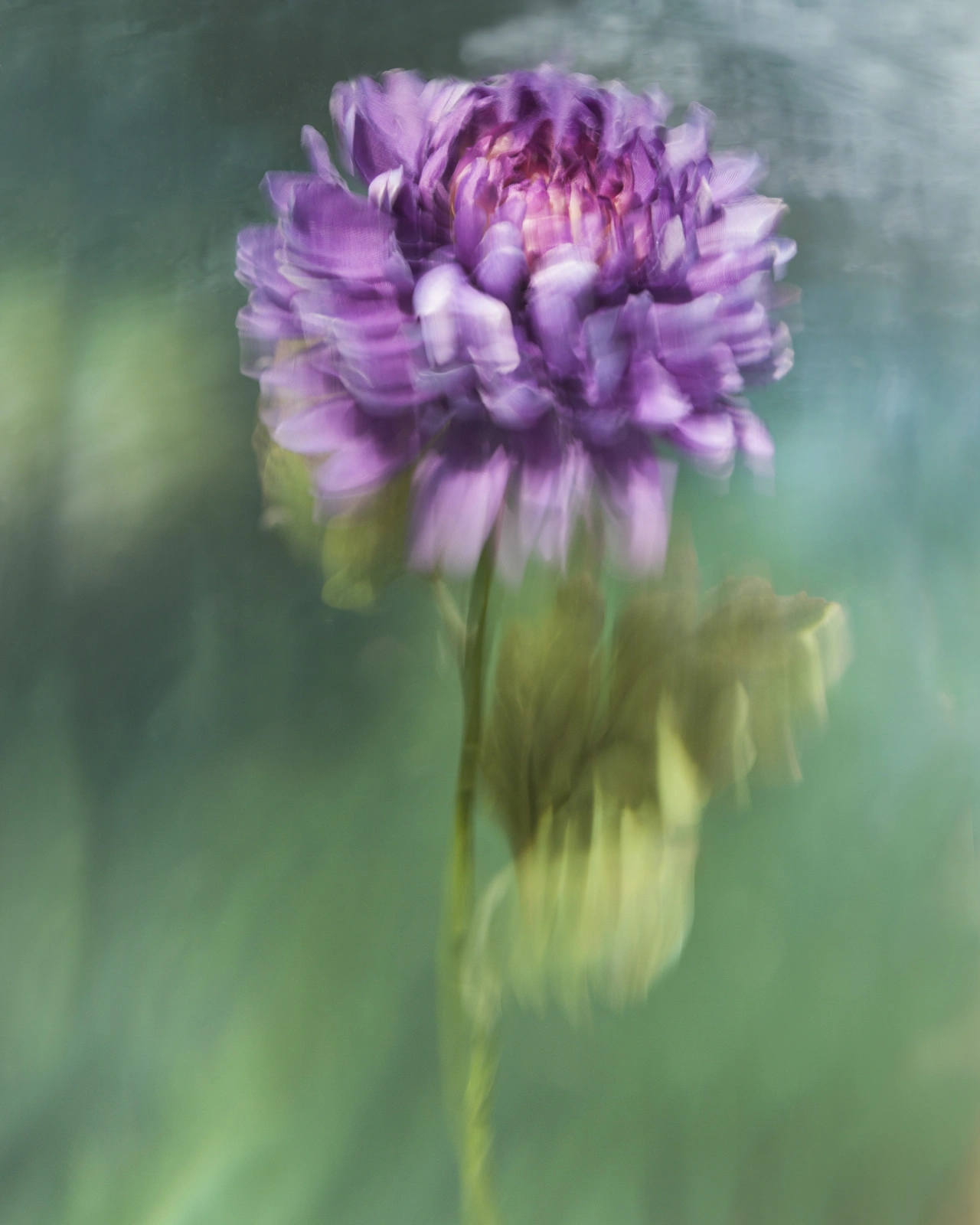 From the series Appearances © Barbara Cole