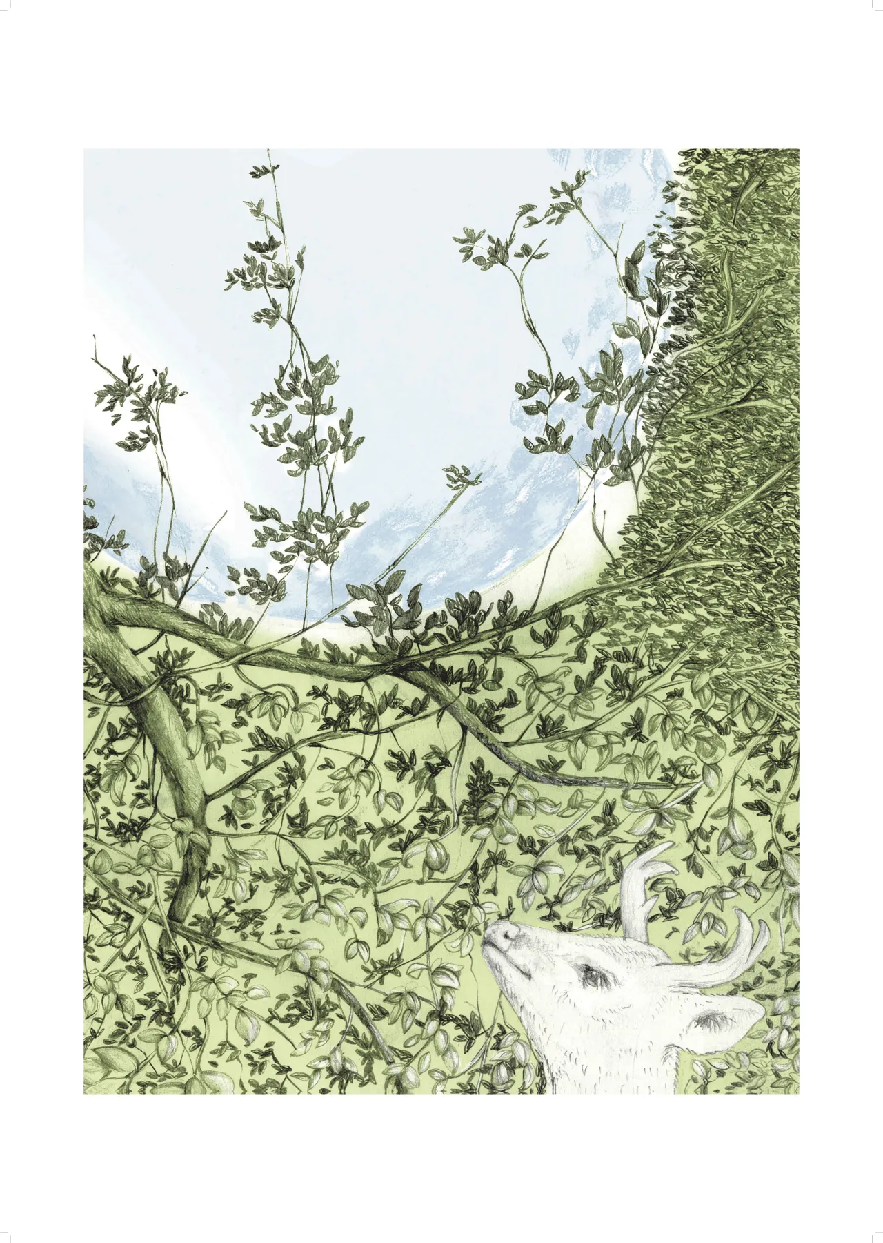 The opening image of Israeli illustrator [Marianne Yarmolinksy](https://marianne-yar.squarespace.com/), who collaborated with Antwerp print specialists [Kastaar](http://www.kastaar.com/)